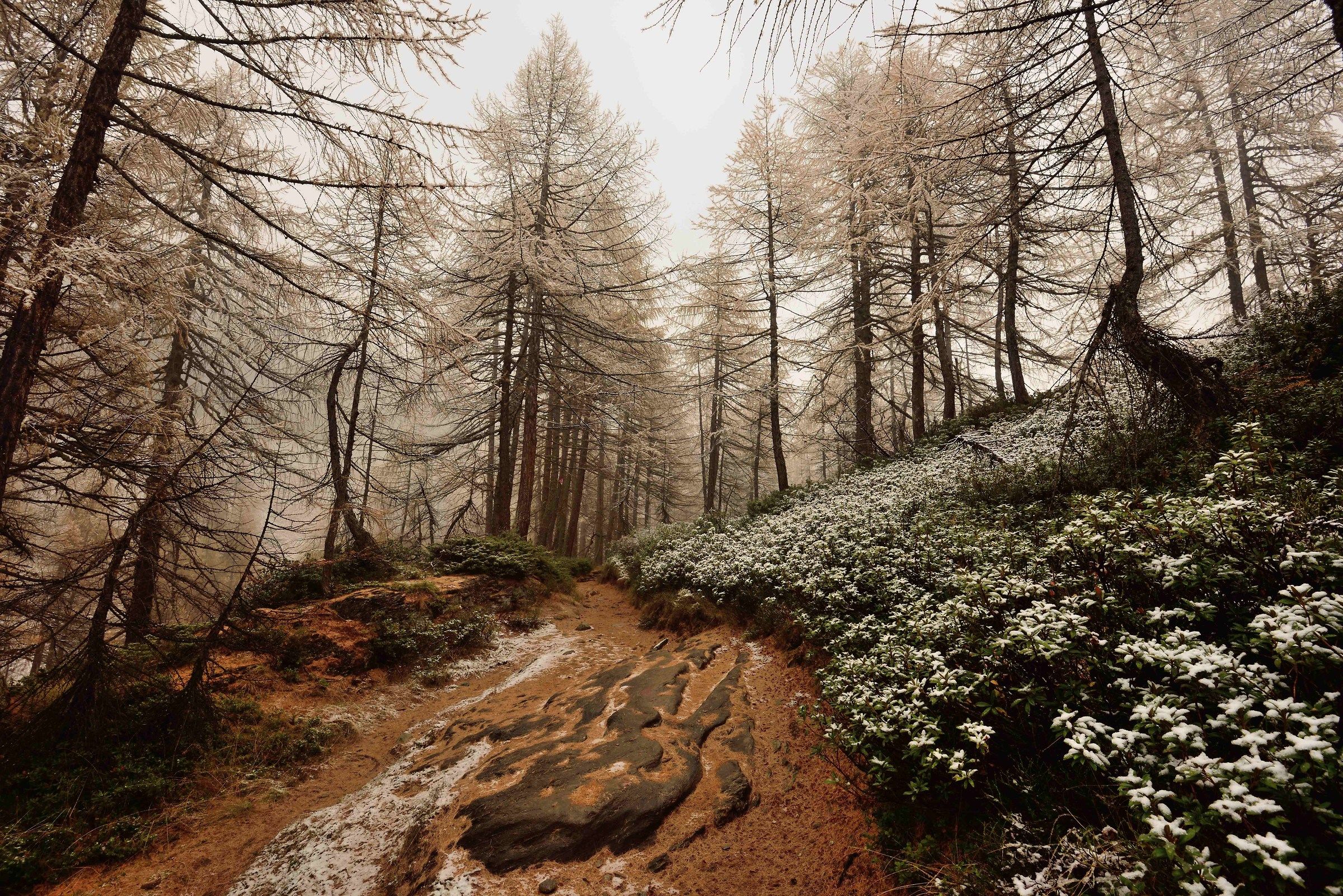 from the trail to Crampiolo