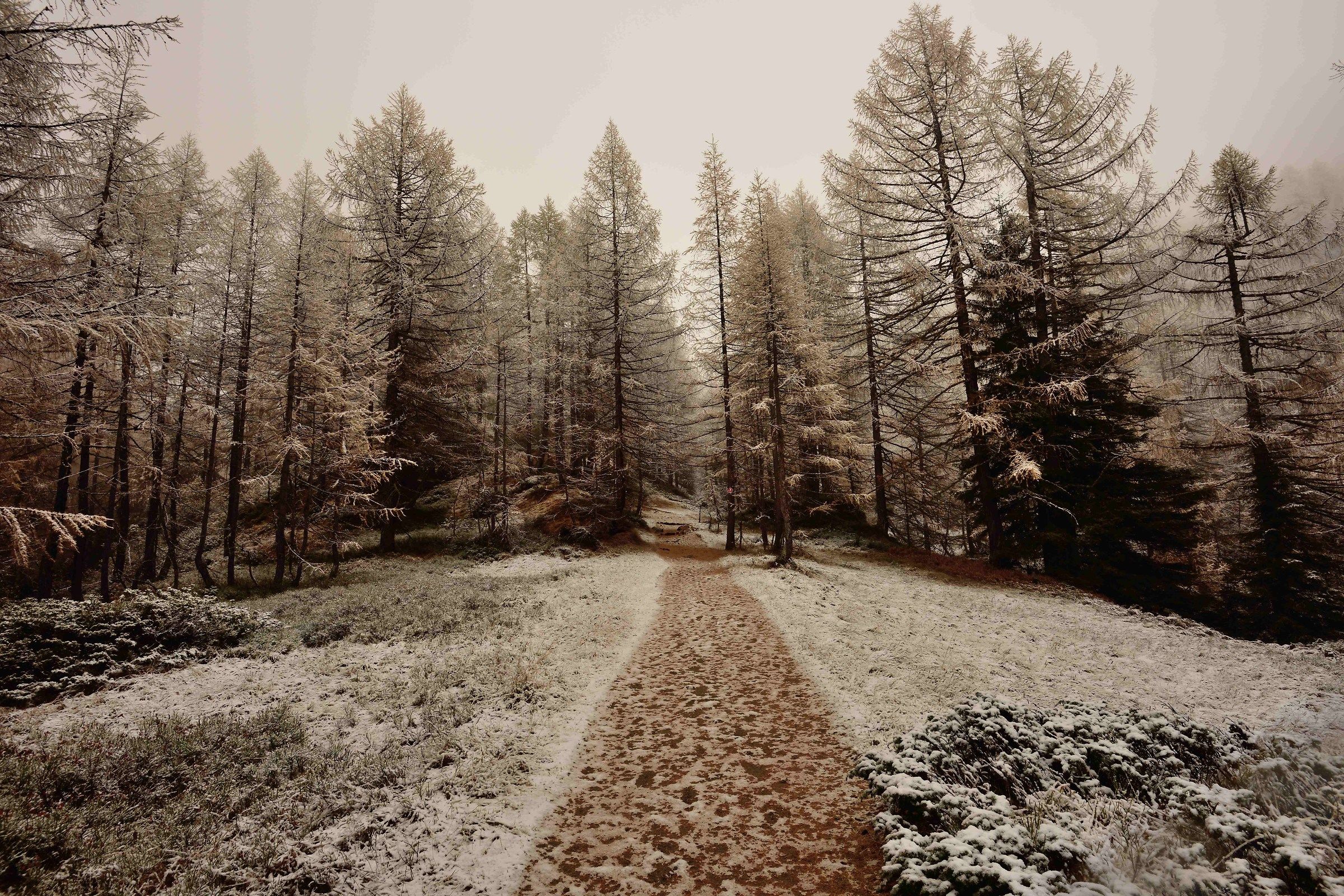 from the trail to Crampiolo