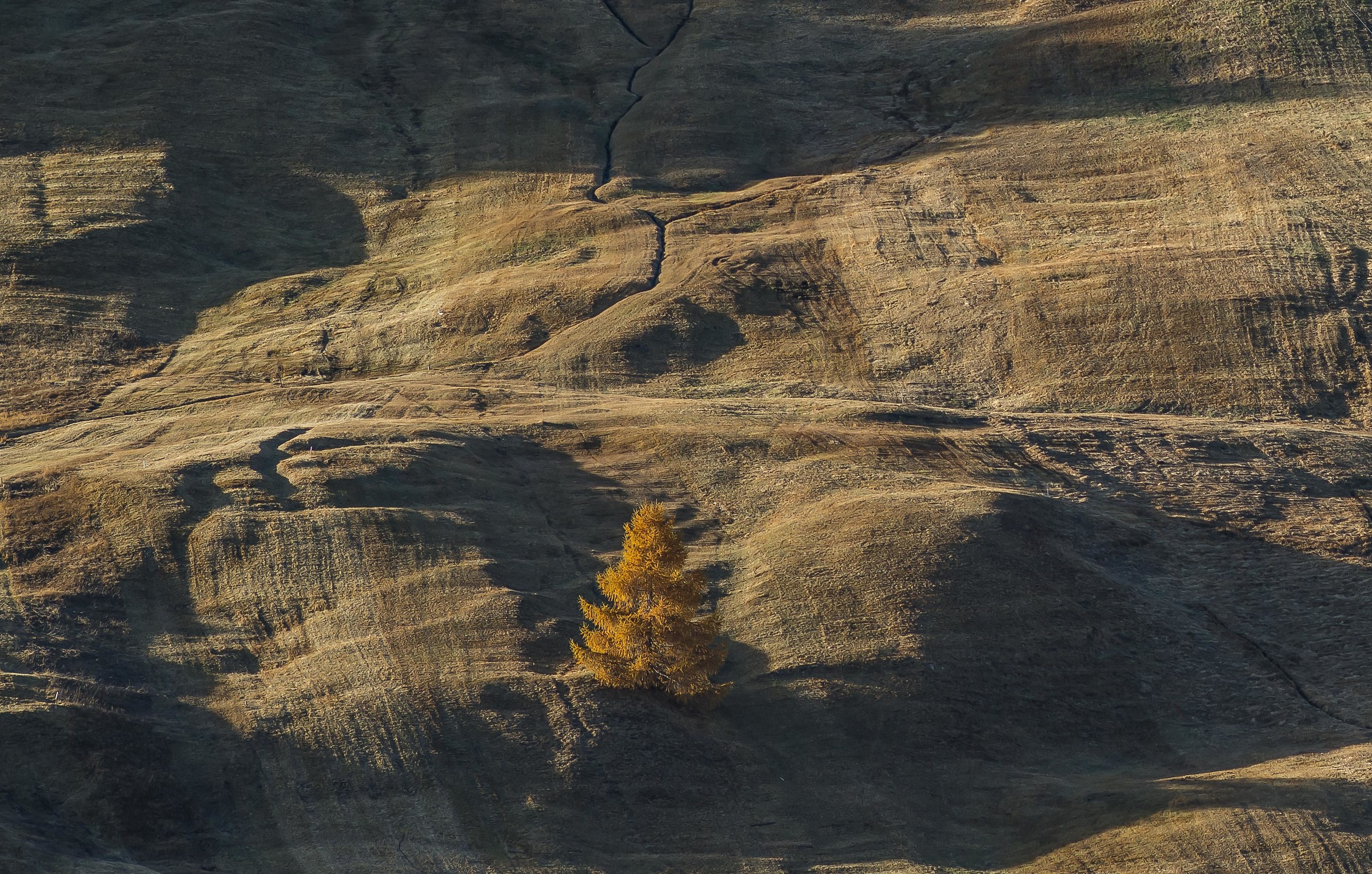 almost in the shadow (dedicated to the sadness of raamiel)