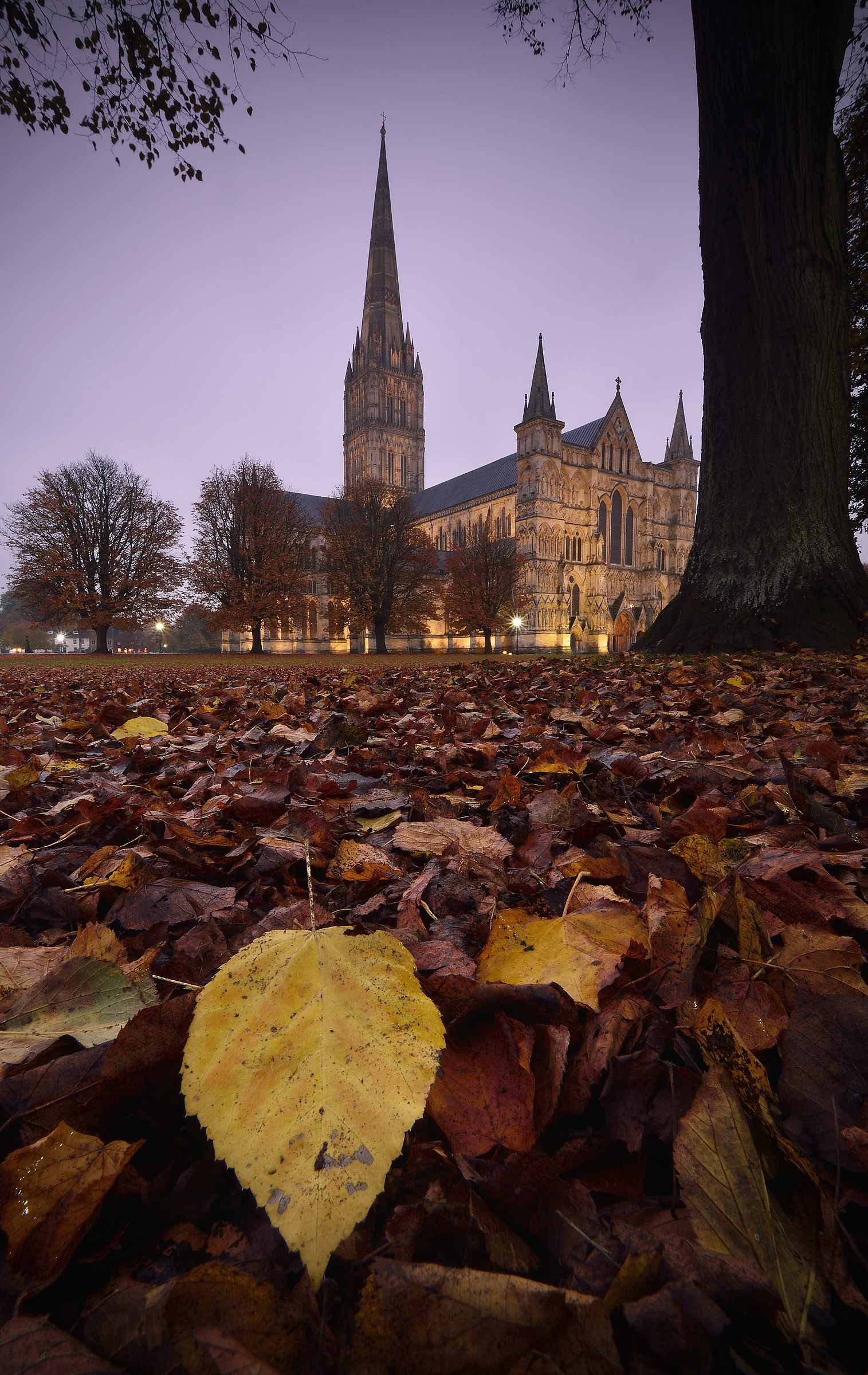 Salisbury Cathedral - and the Autumn Leaf