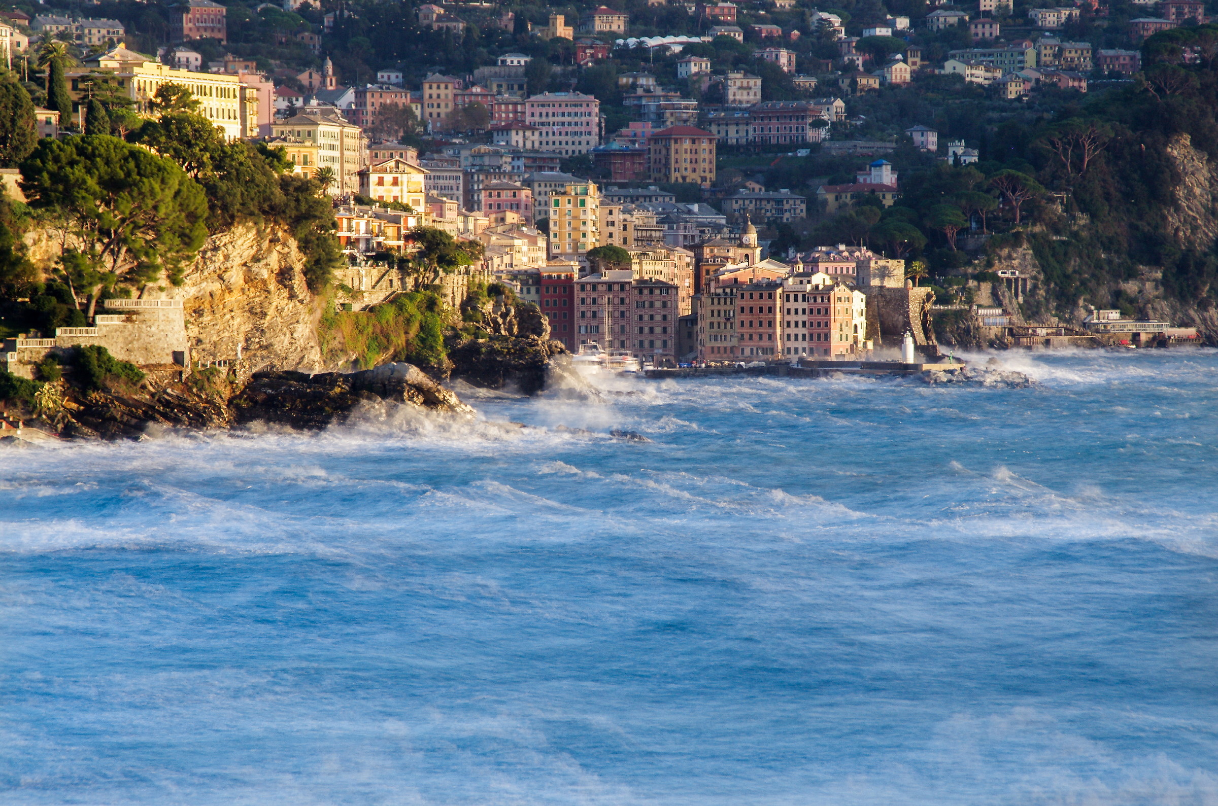 sembra calmo...invece