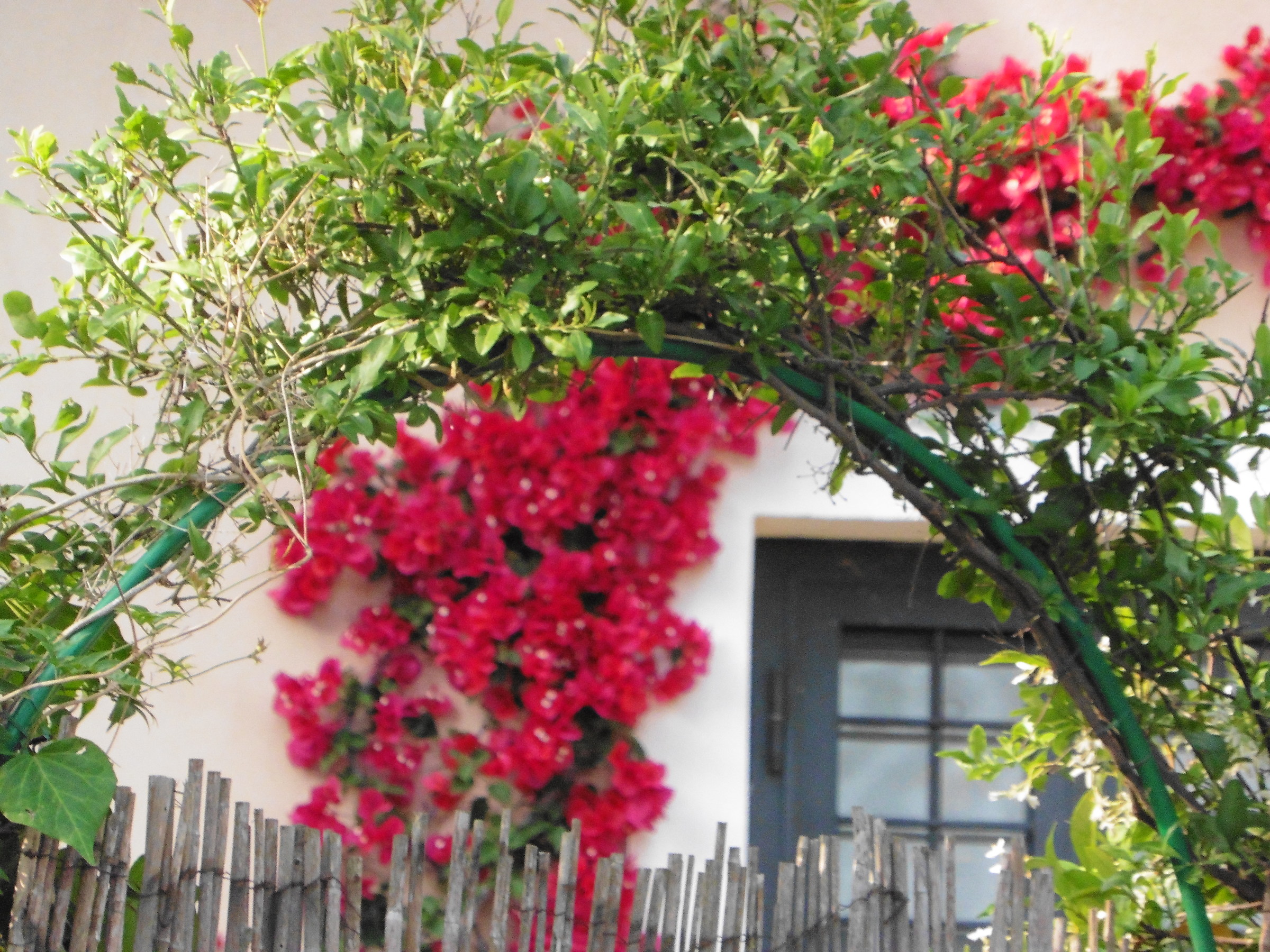 Entrance to the vineyard Alta Torre in Pietra