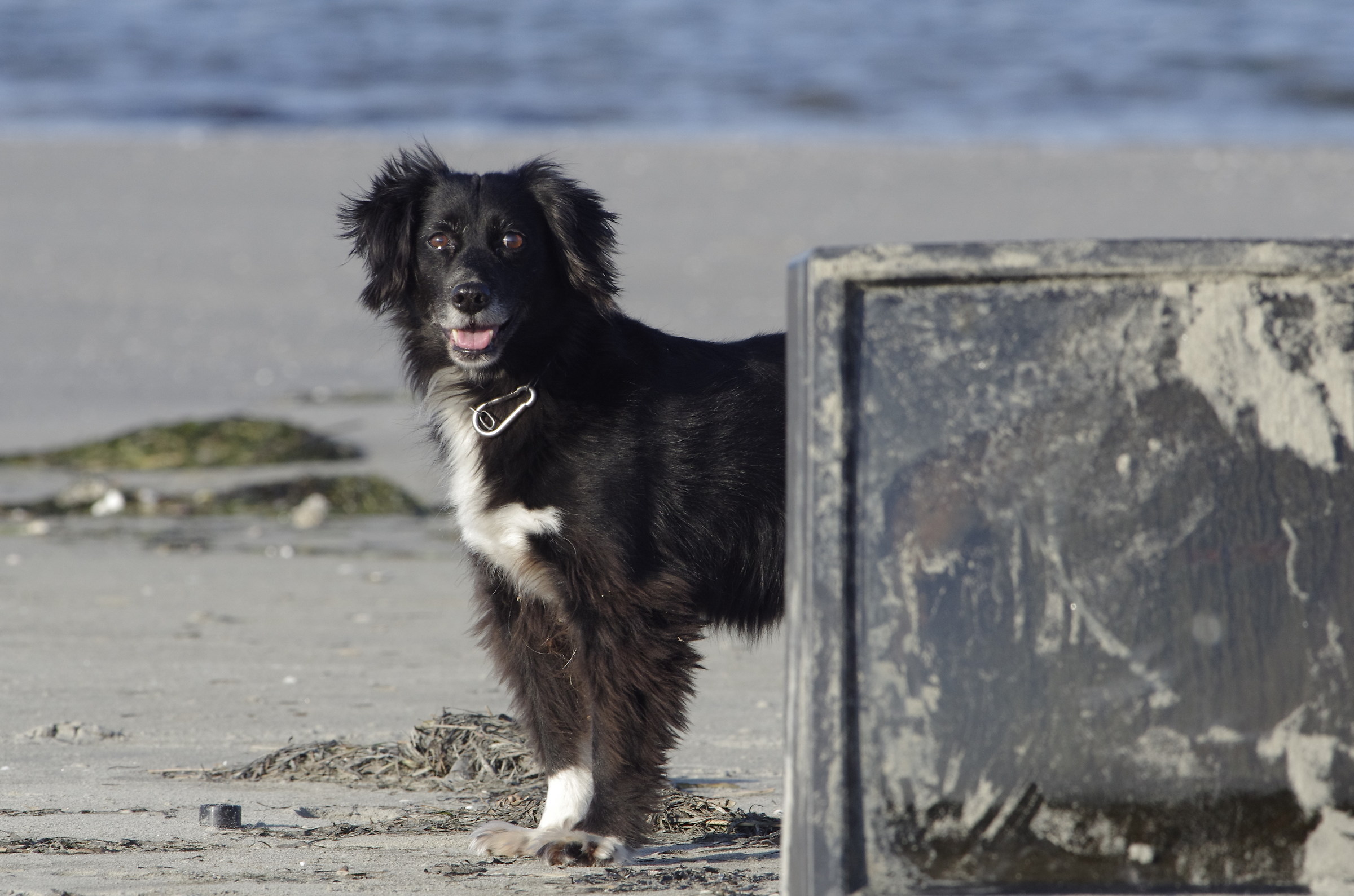 alta fedeltà fuori dallo schermo