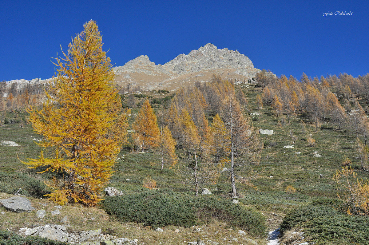 Valle Gesso d'Autunno...