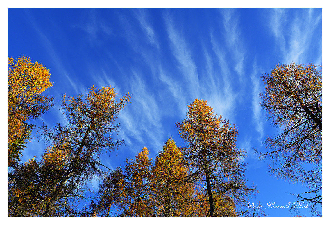 autumn sky