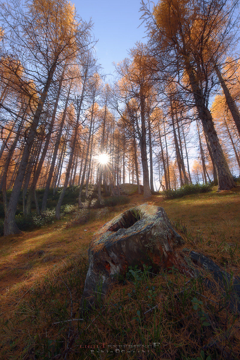 Ultima Luce Autunnale