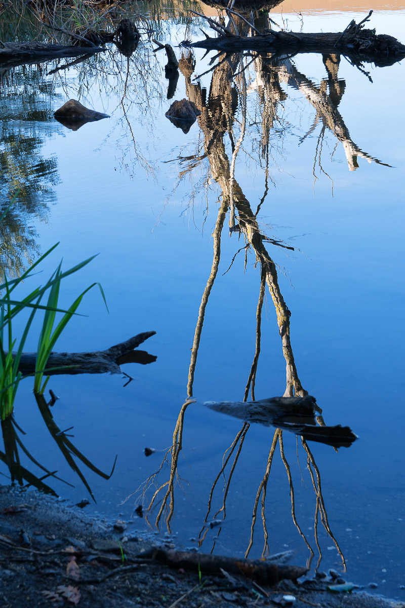 Untitled Photo