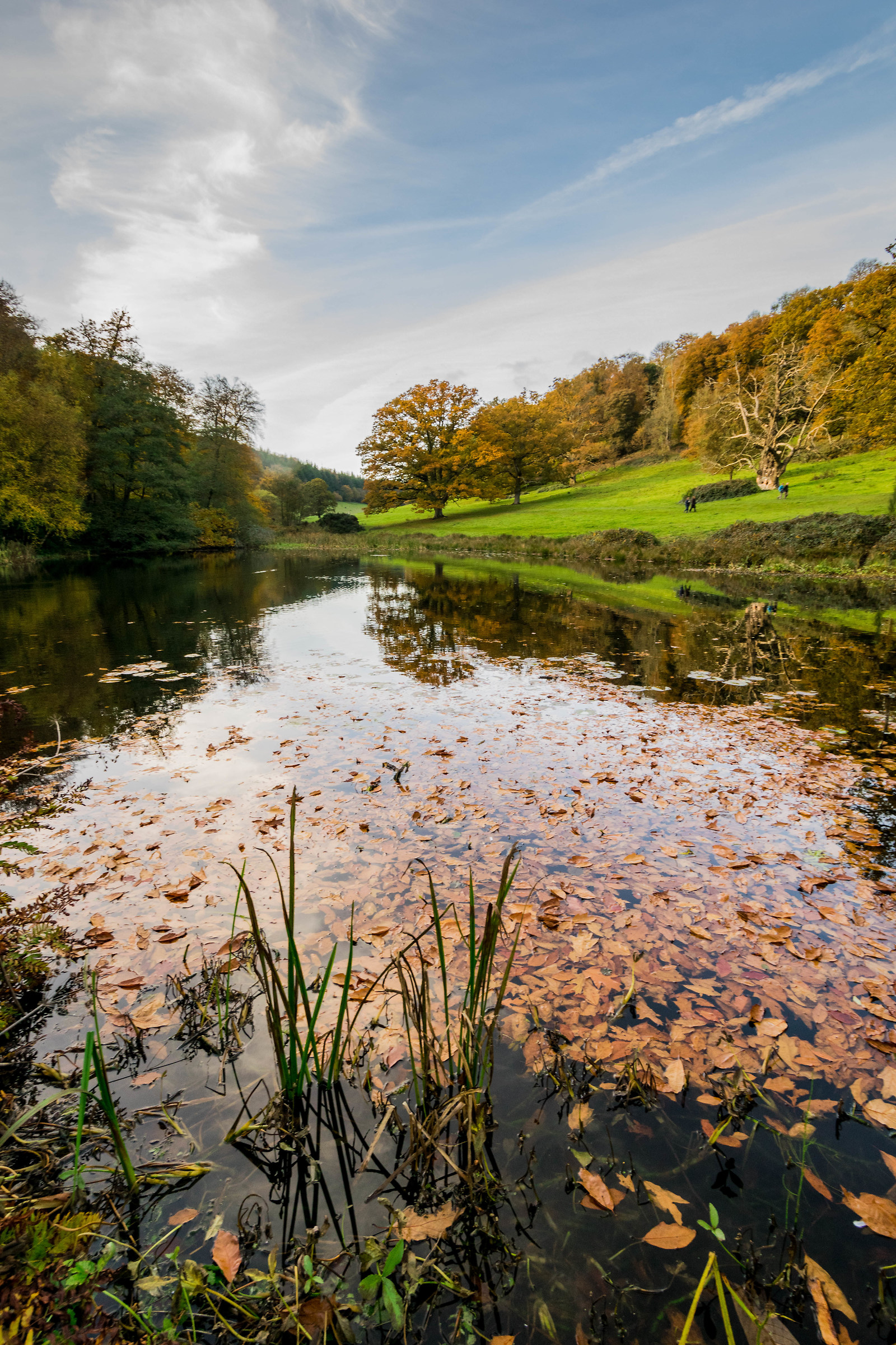 Lago di Autumn Leaves