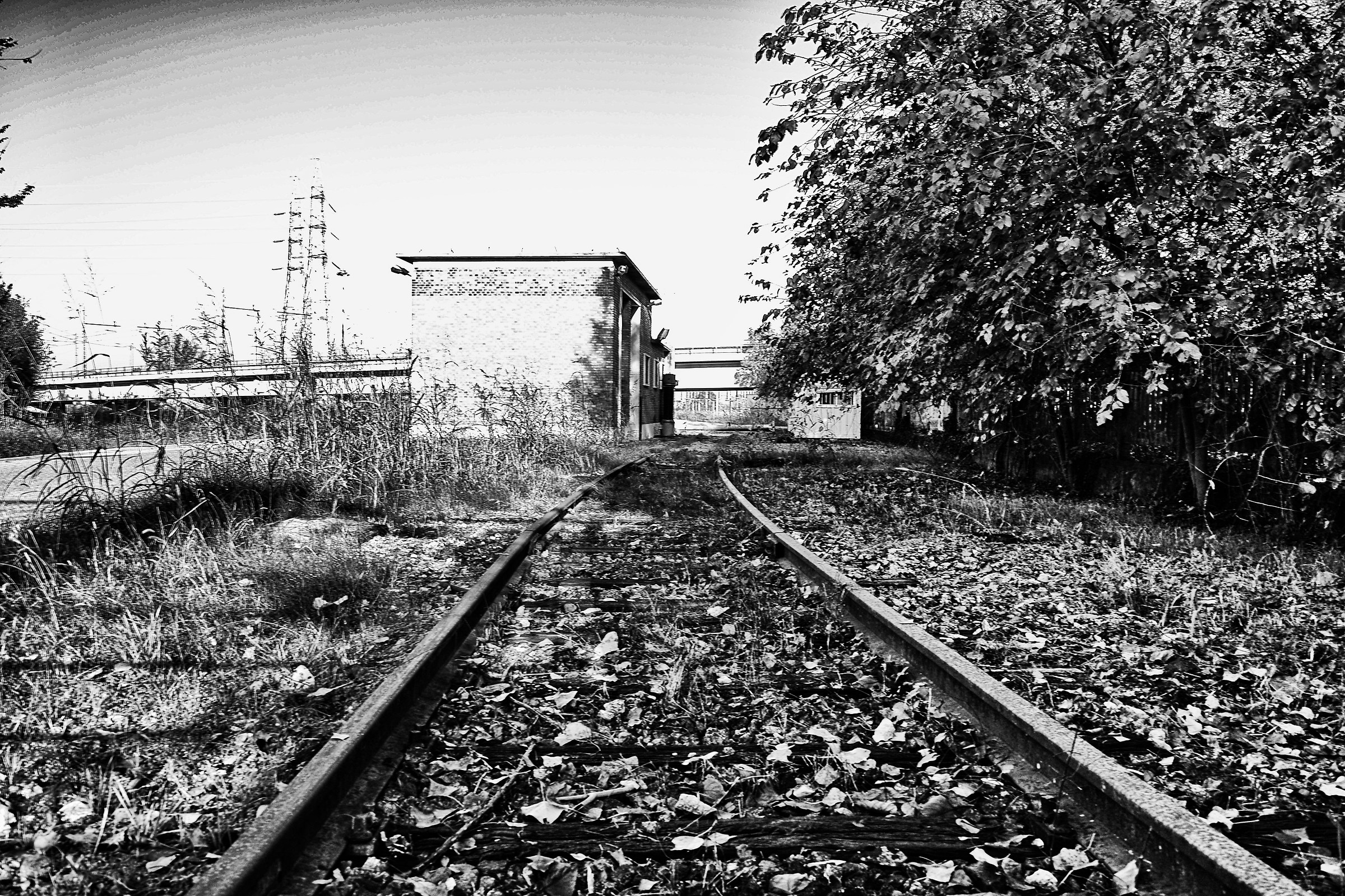 abandoned rails