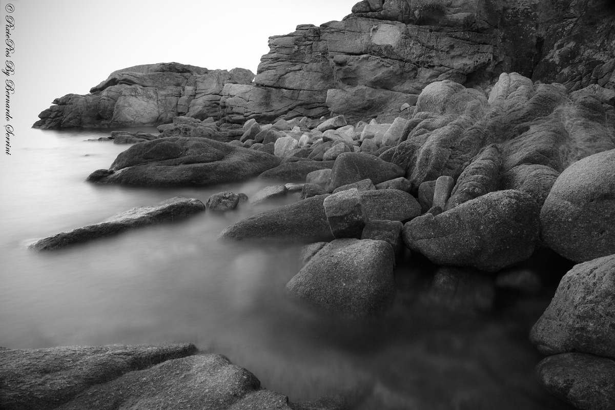 Cabbages - Elba Island