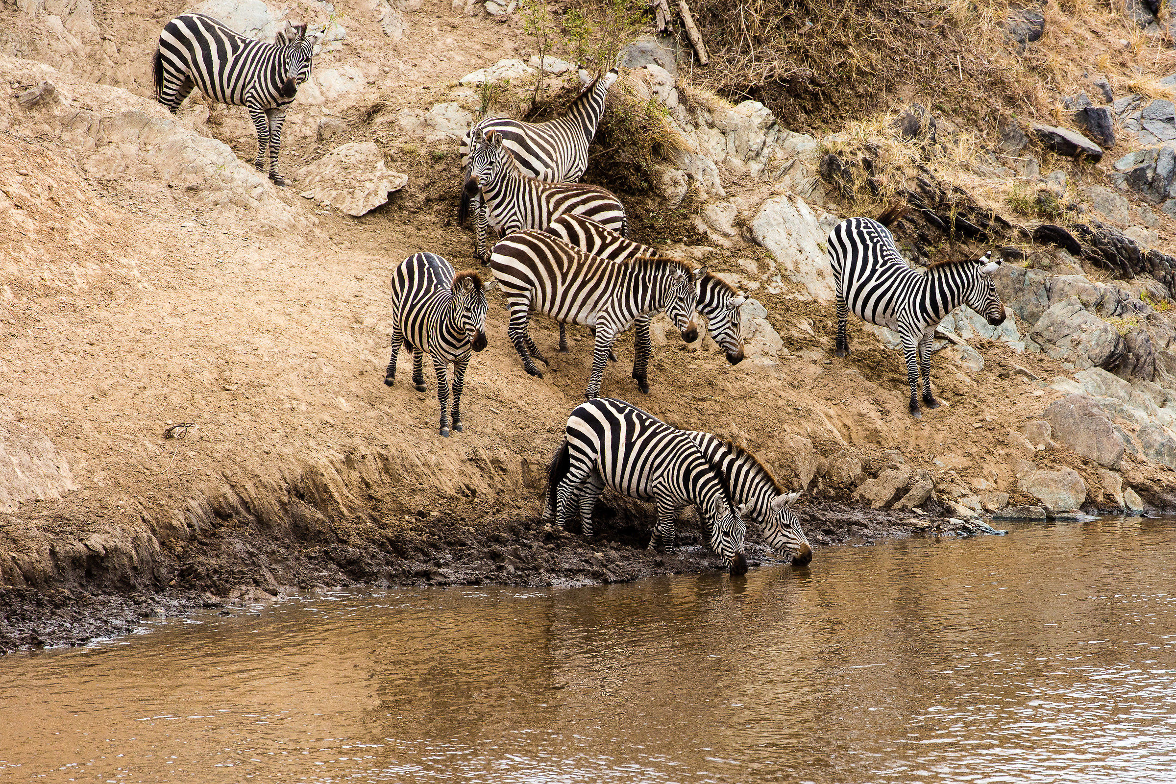 Una bevuta rischiosa
