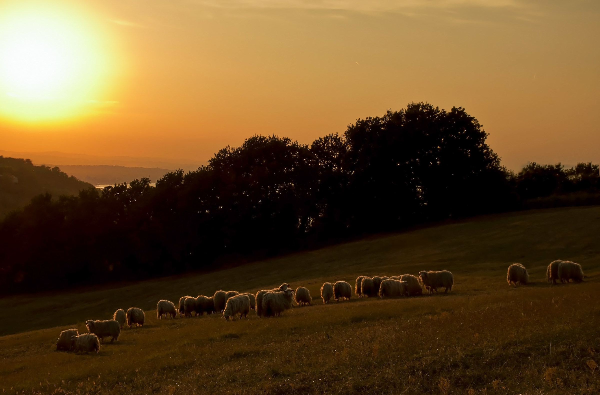 Crepuscolo pastorale