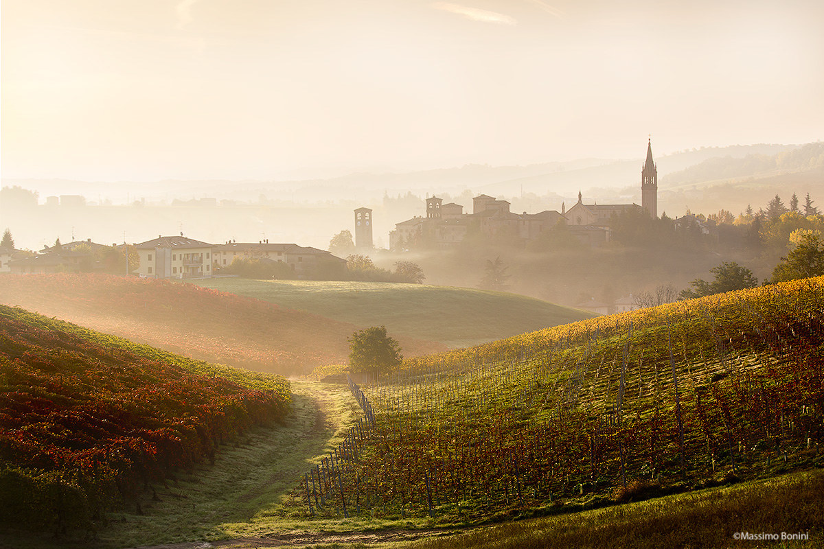 Mist and colors in Castelvetro