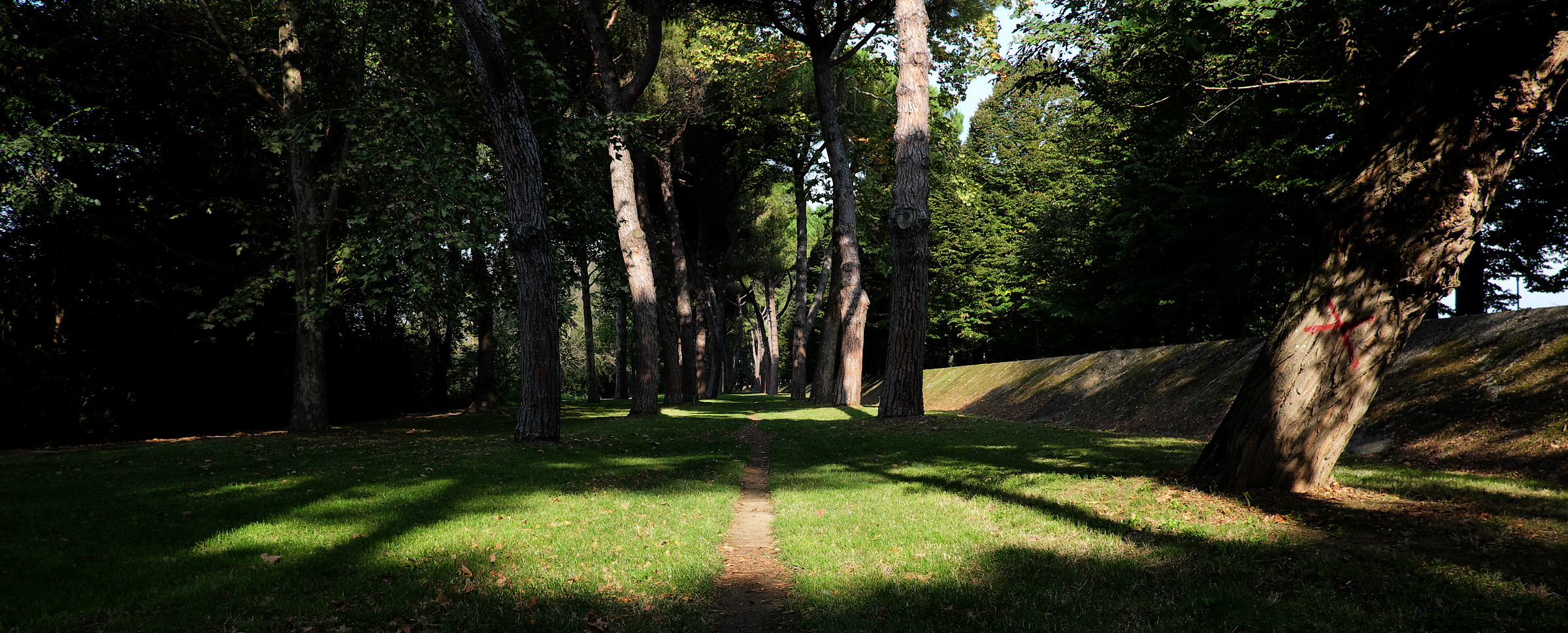 Viale delle Piagge Pisa