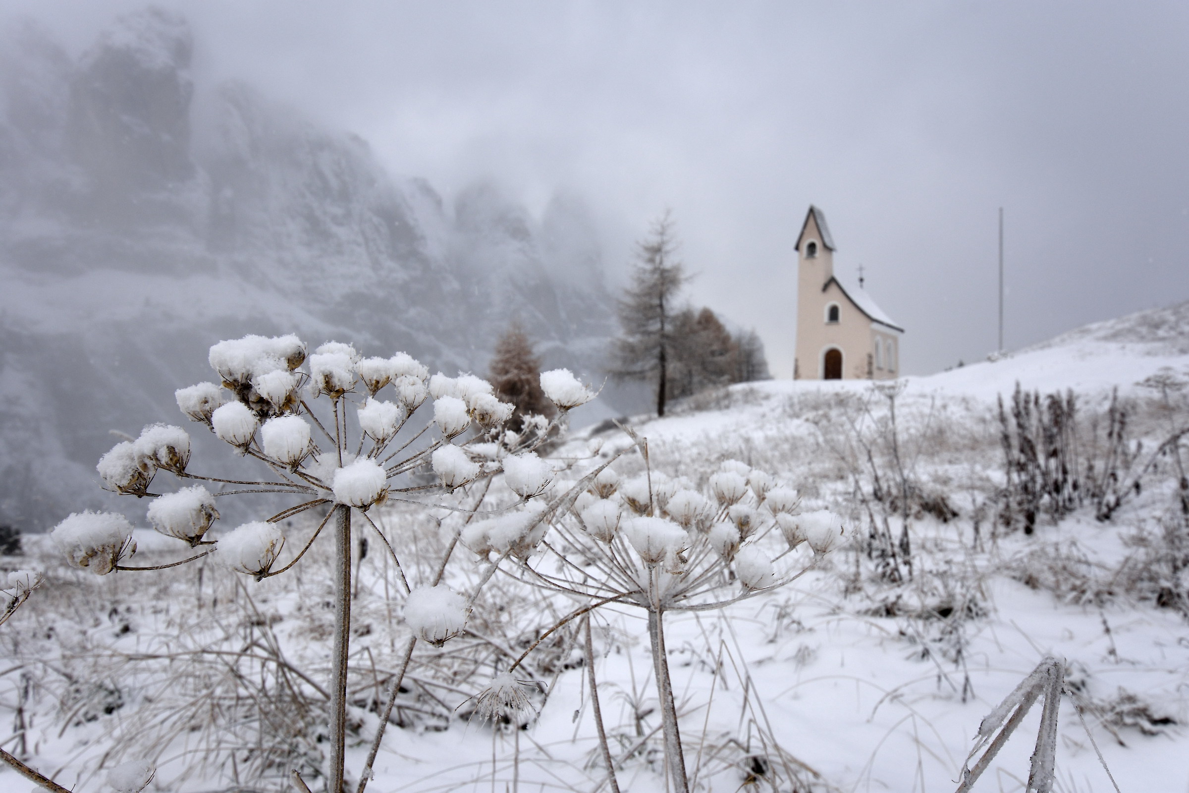 First snow in the Dolomites