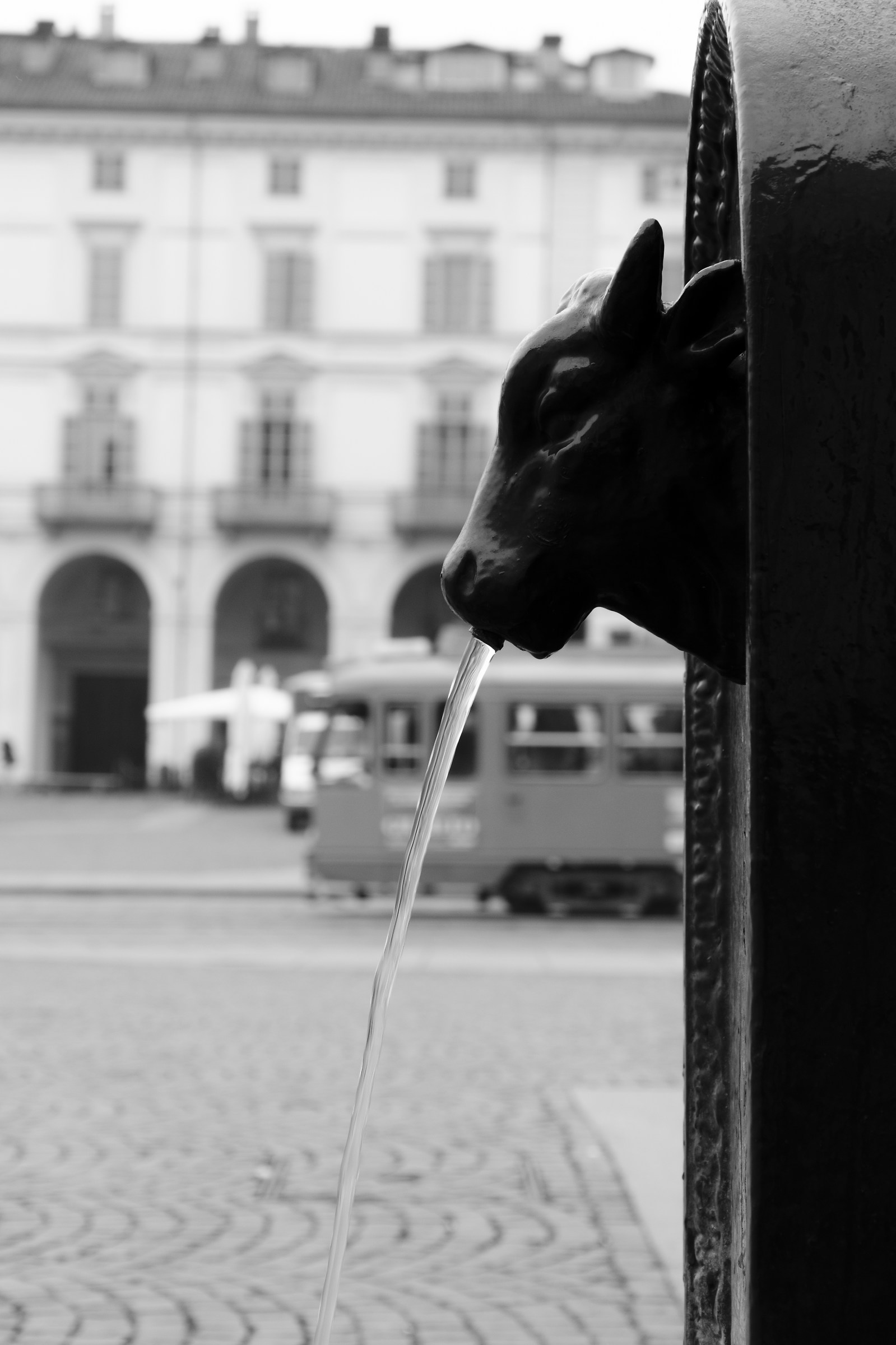 Toret in Piazza Vittorio