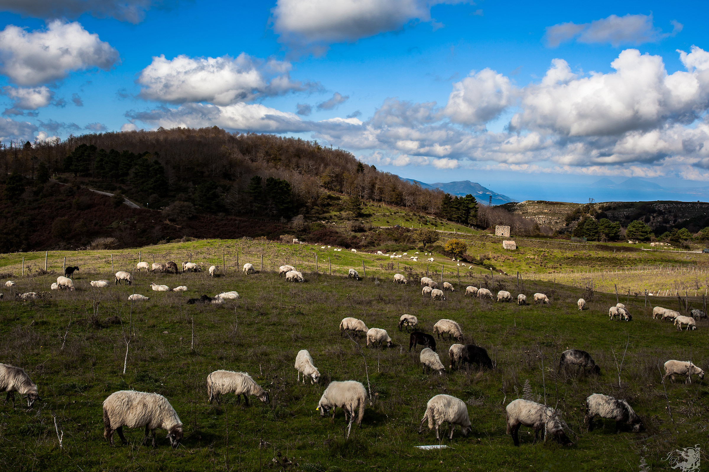 Walk in Montalbano Elicona