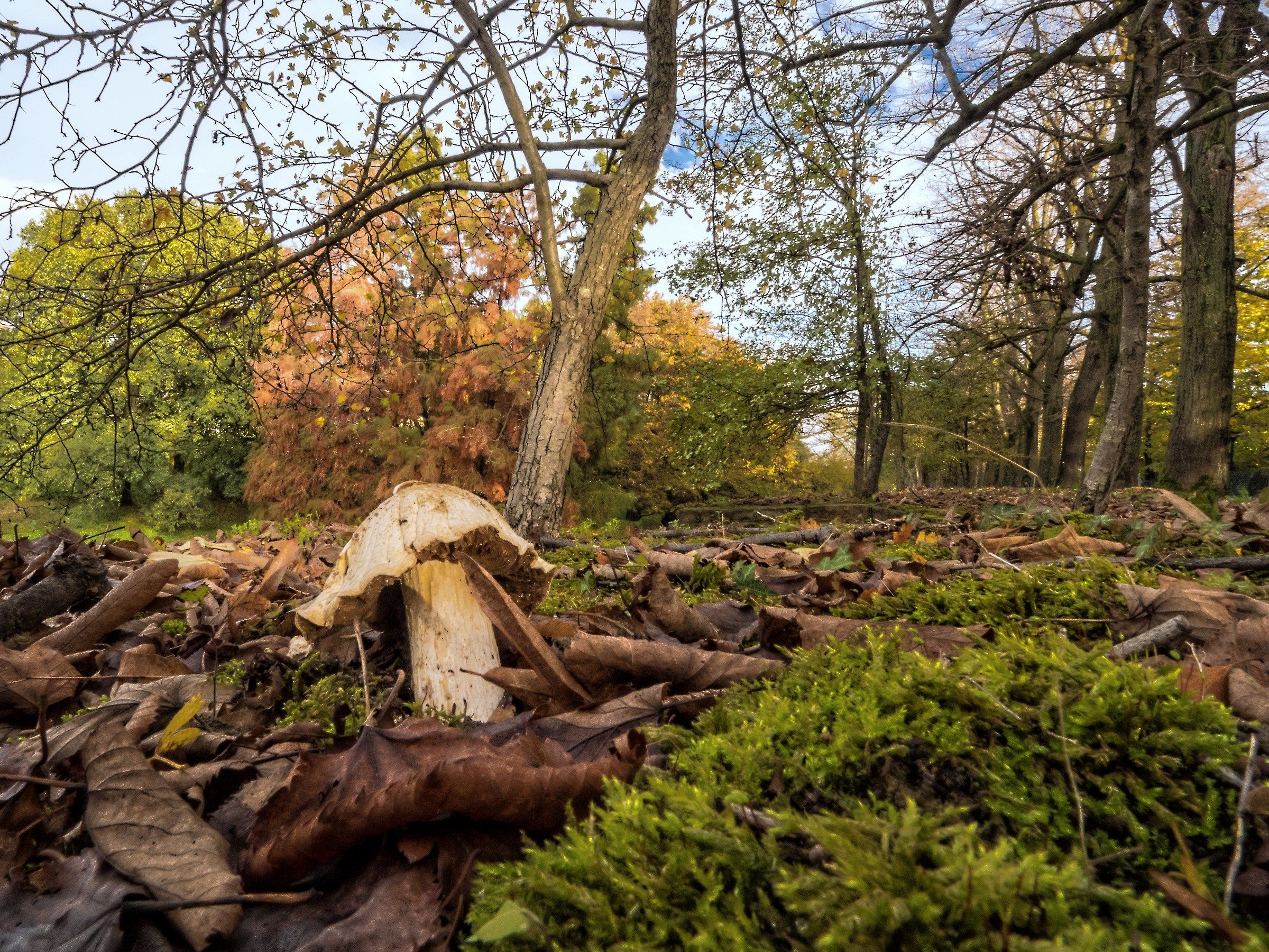 On the Walls of Ferrara