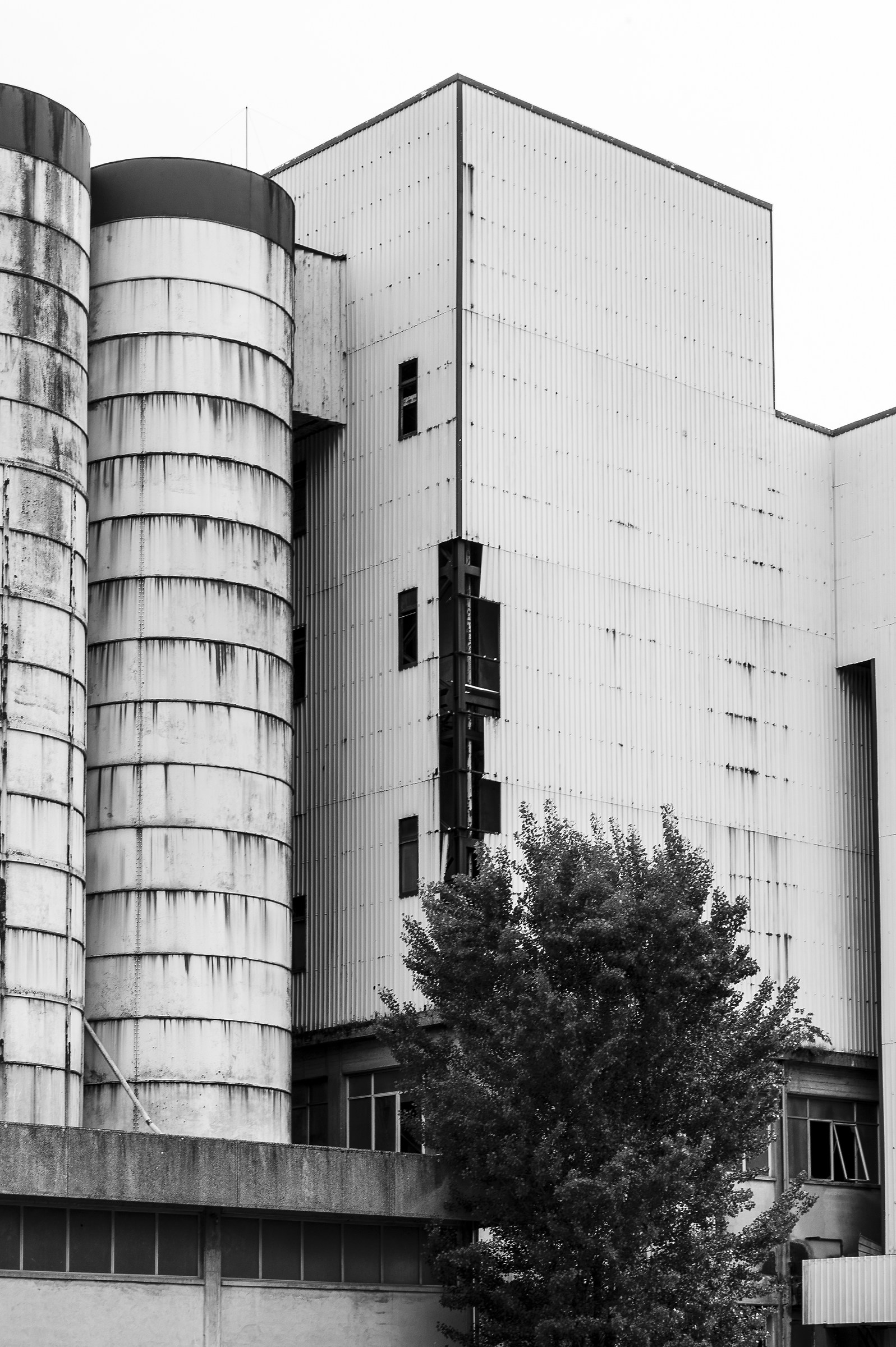 La città Dimenticata #2