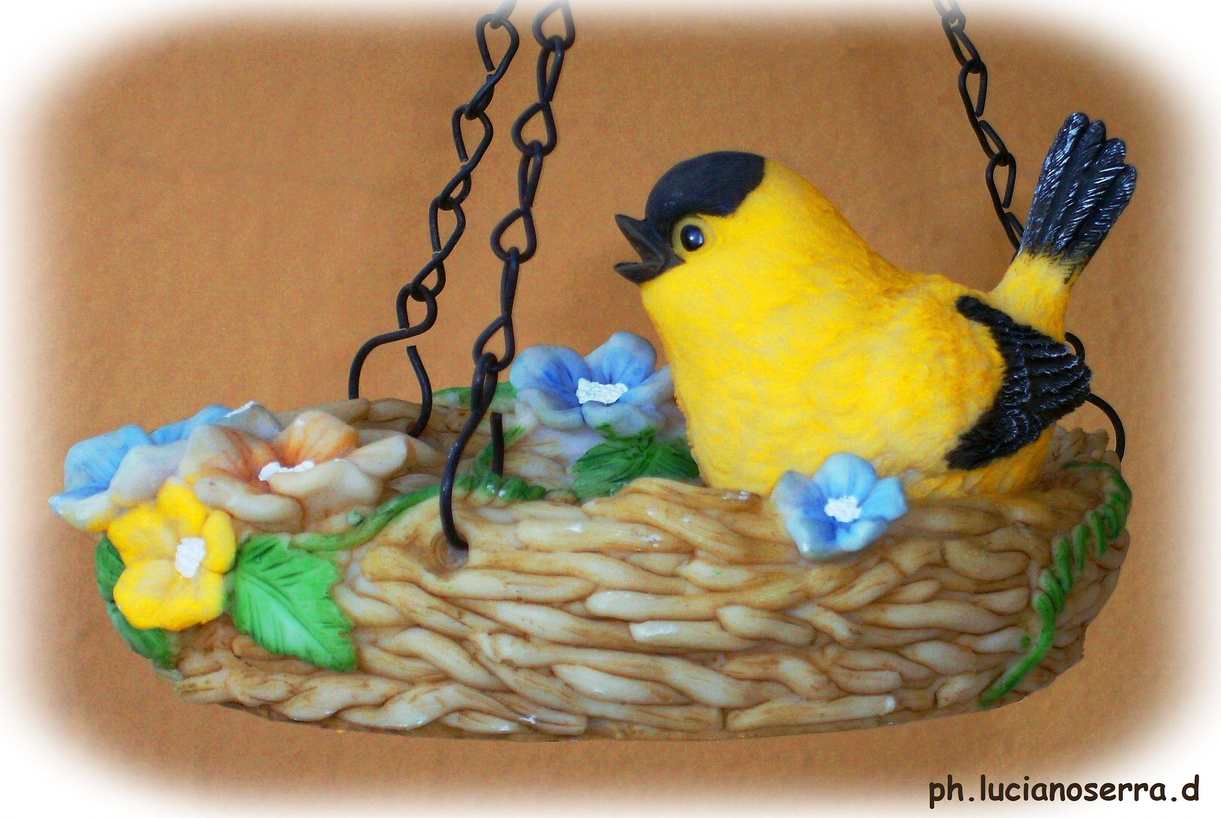 Uccellino... decorativo...