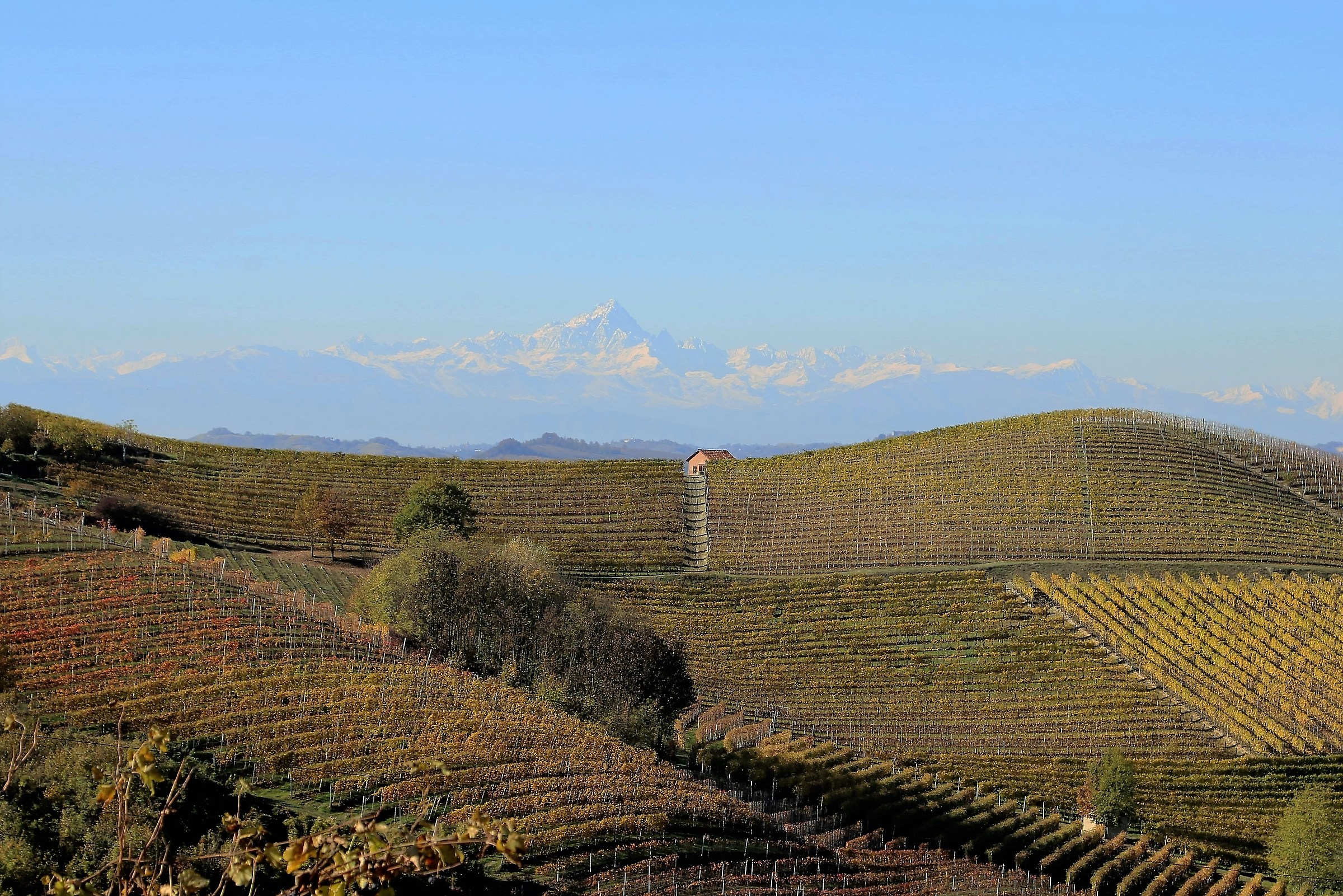 Langhe: Il Monviso da Barbaresco