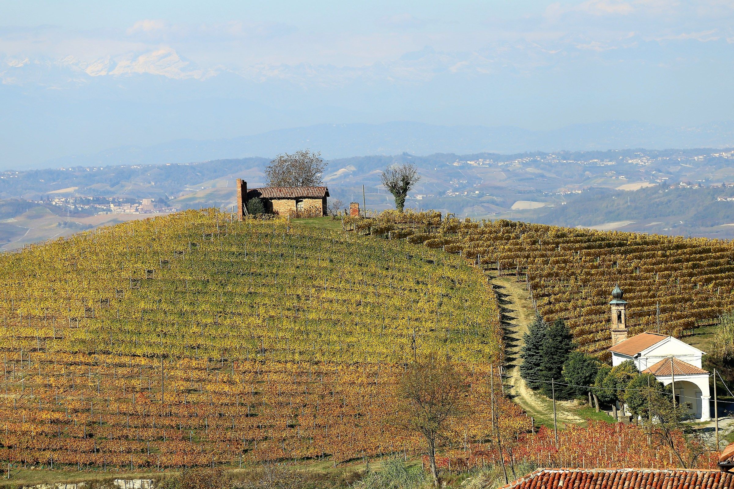 Langhe