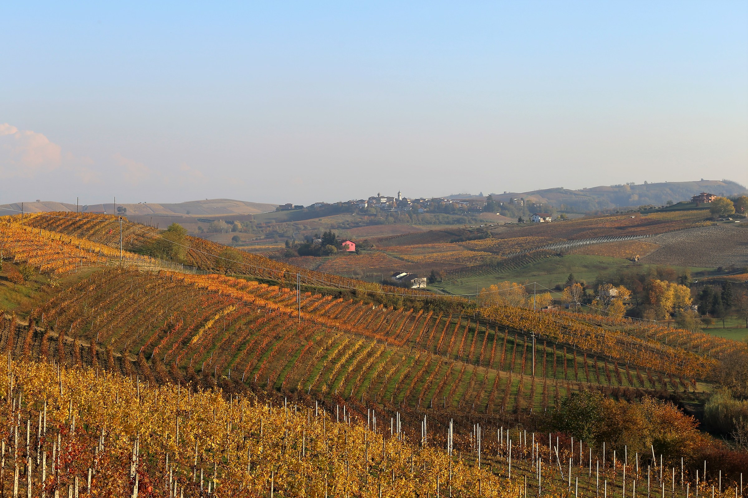 vigneti a Mombaruzzo