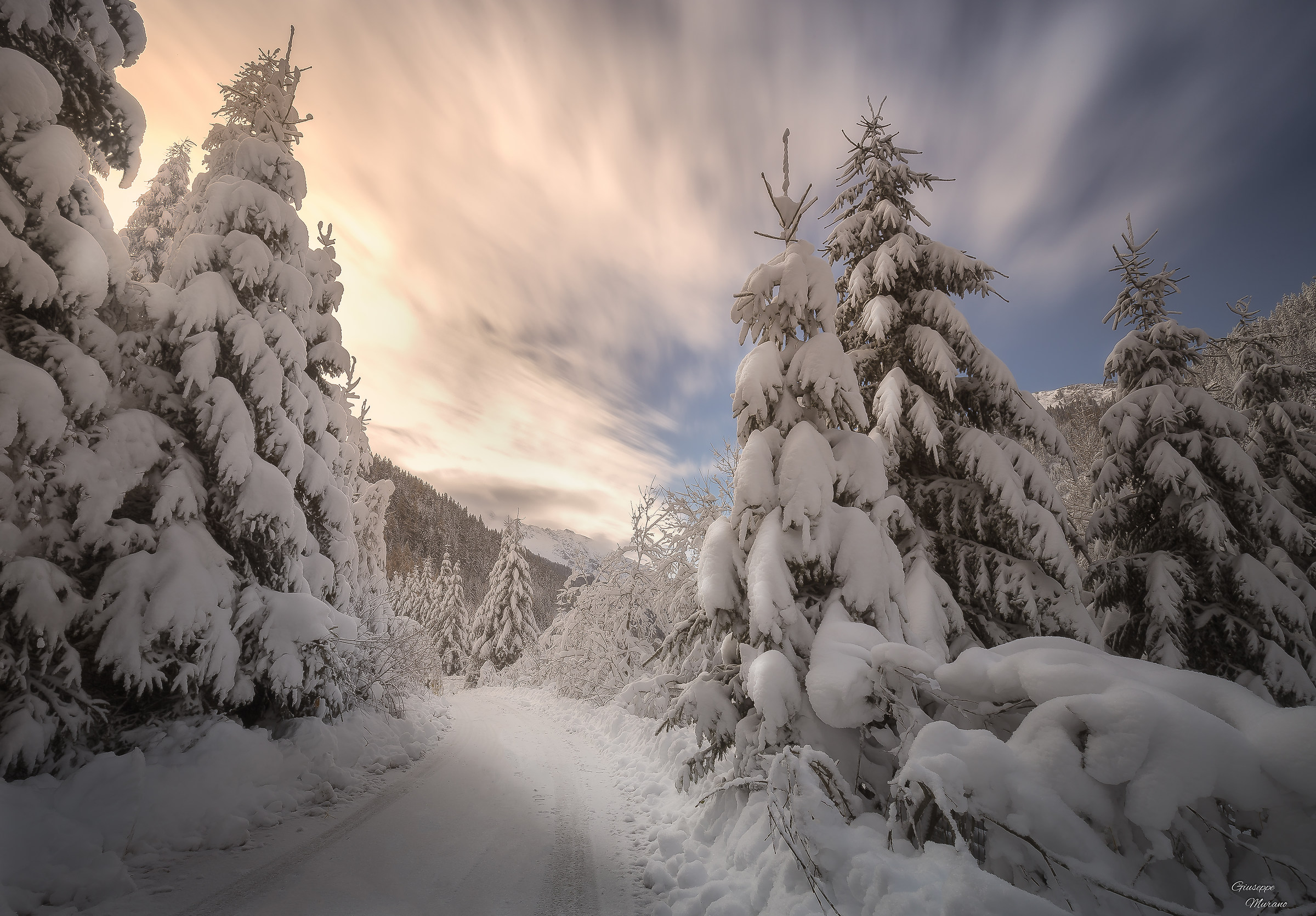 Admiring the white lady ..