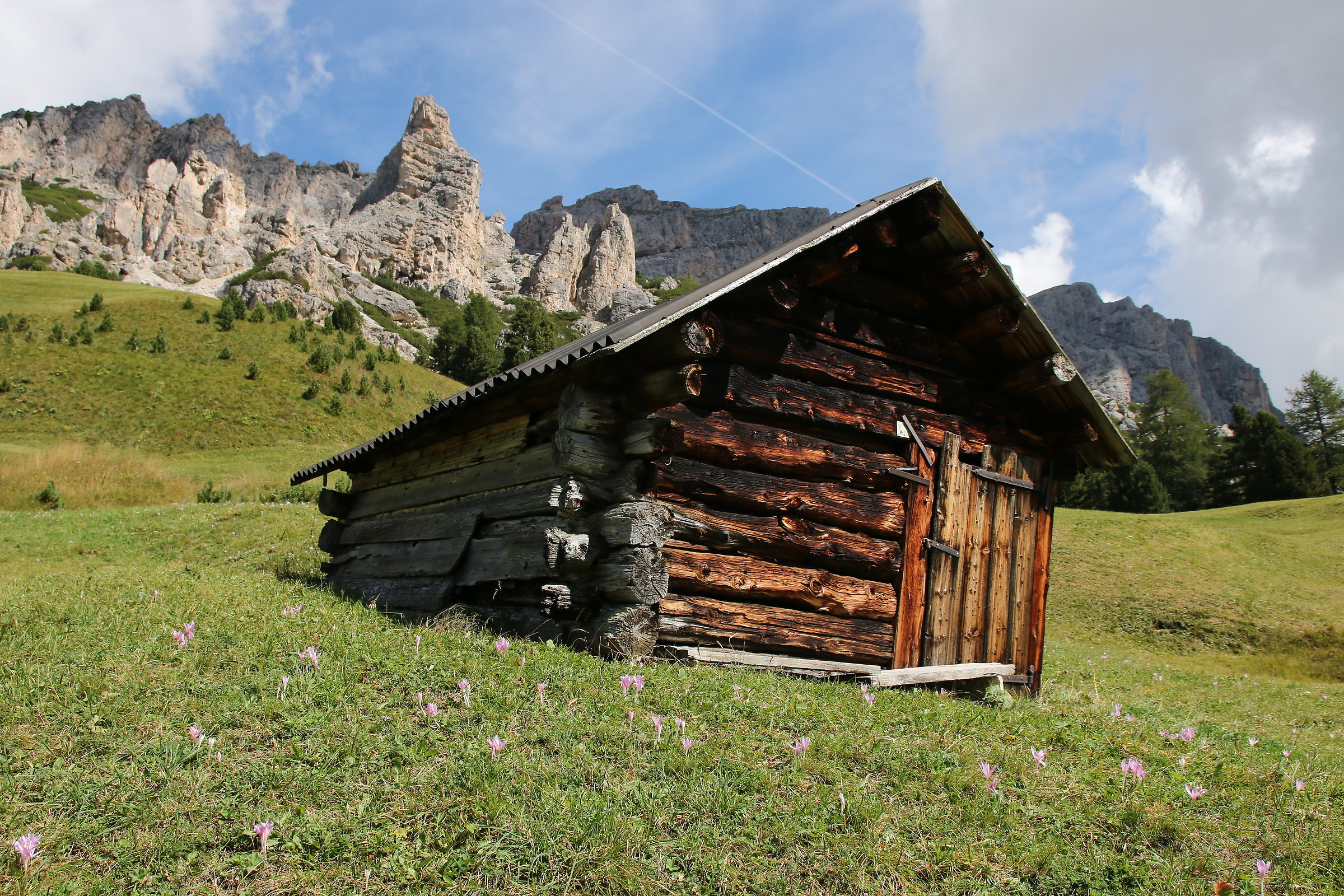 crocuses & hut, Passo Gardena, settembre'16
