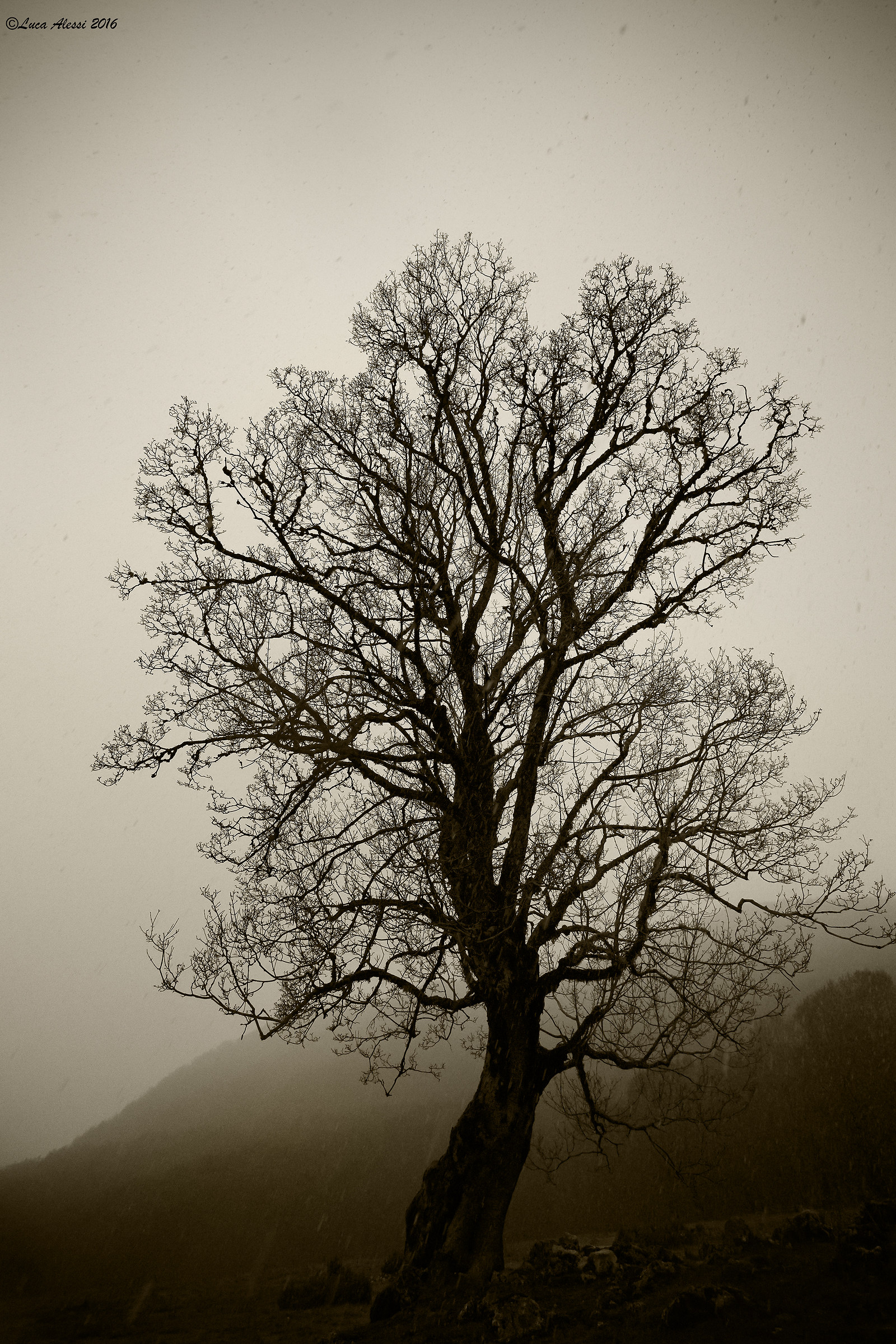 Tu chiamale se vuoi.. emozioni