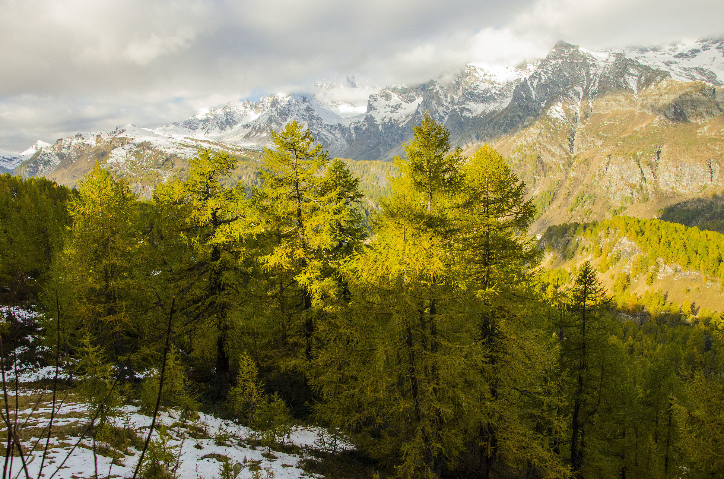 colori autunnali all'Alpe Devero
