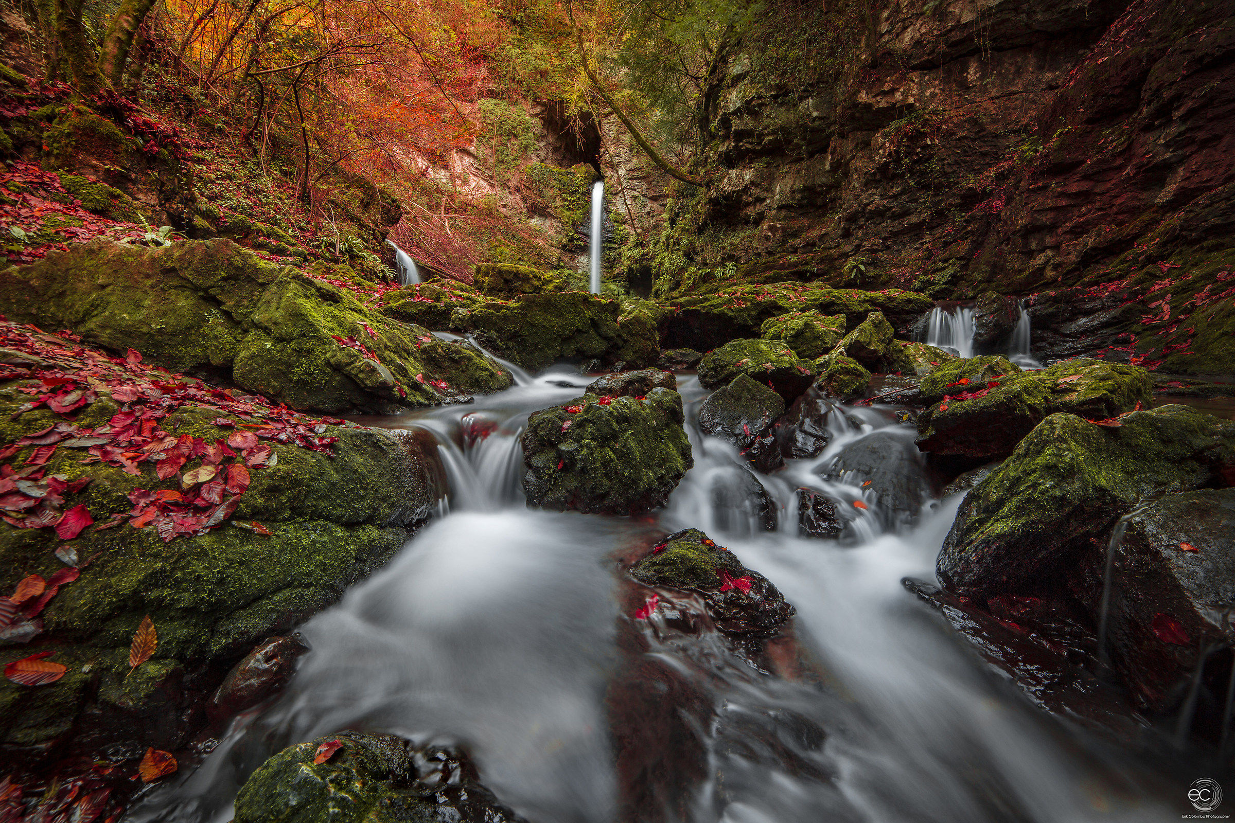 When every leaf is a flower