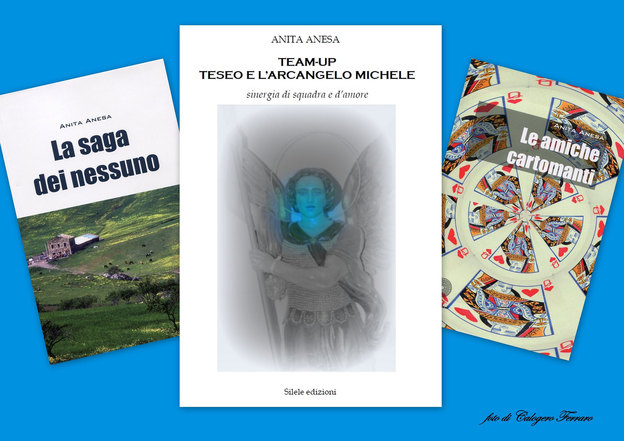 The novels of Anita Anesa and my covers.