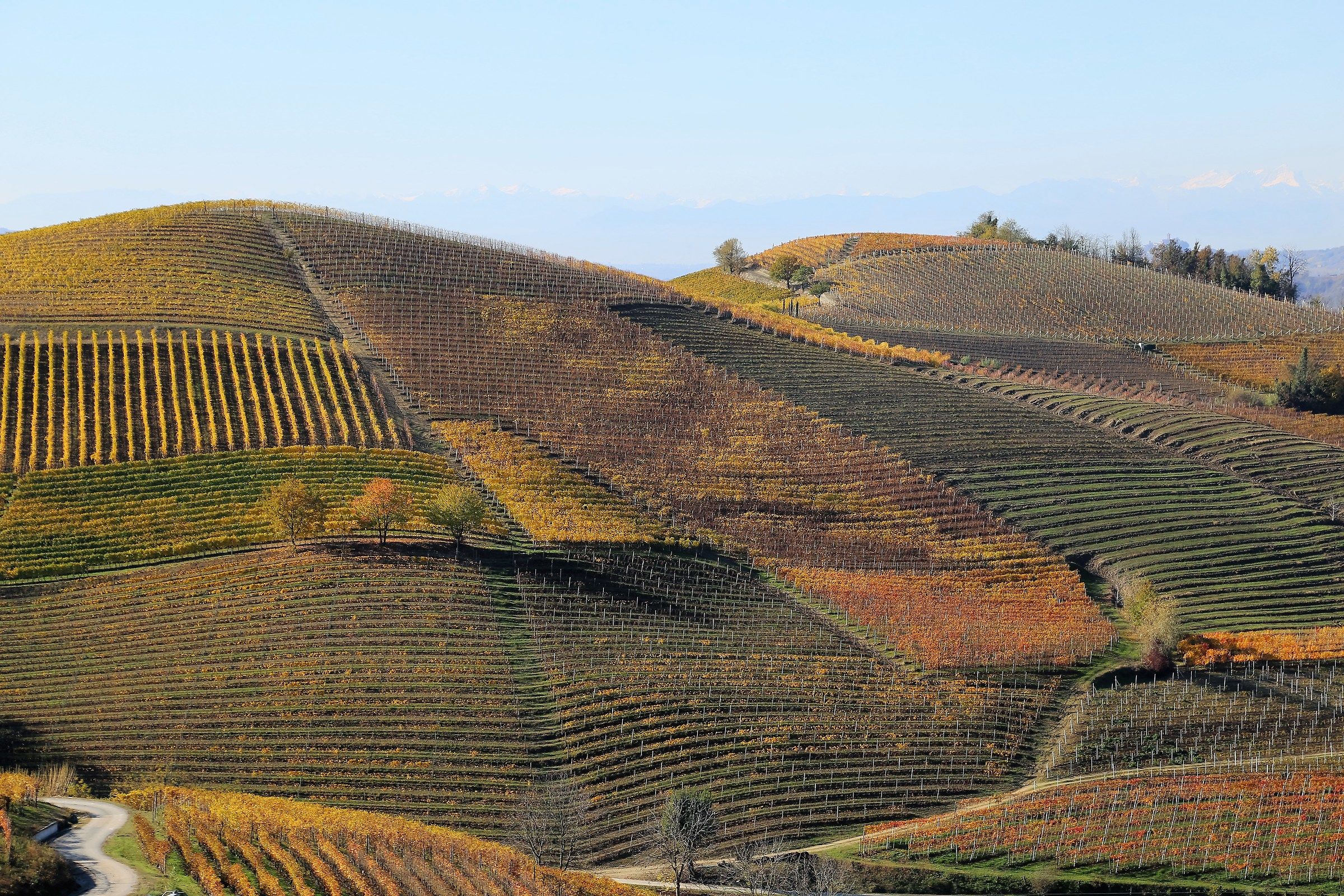 Langhe - panorama autunnale