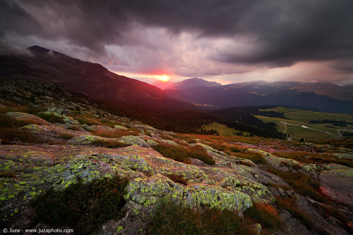 La luce rosa, 015809