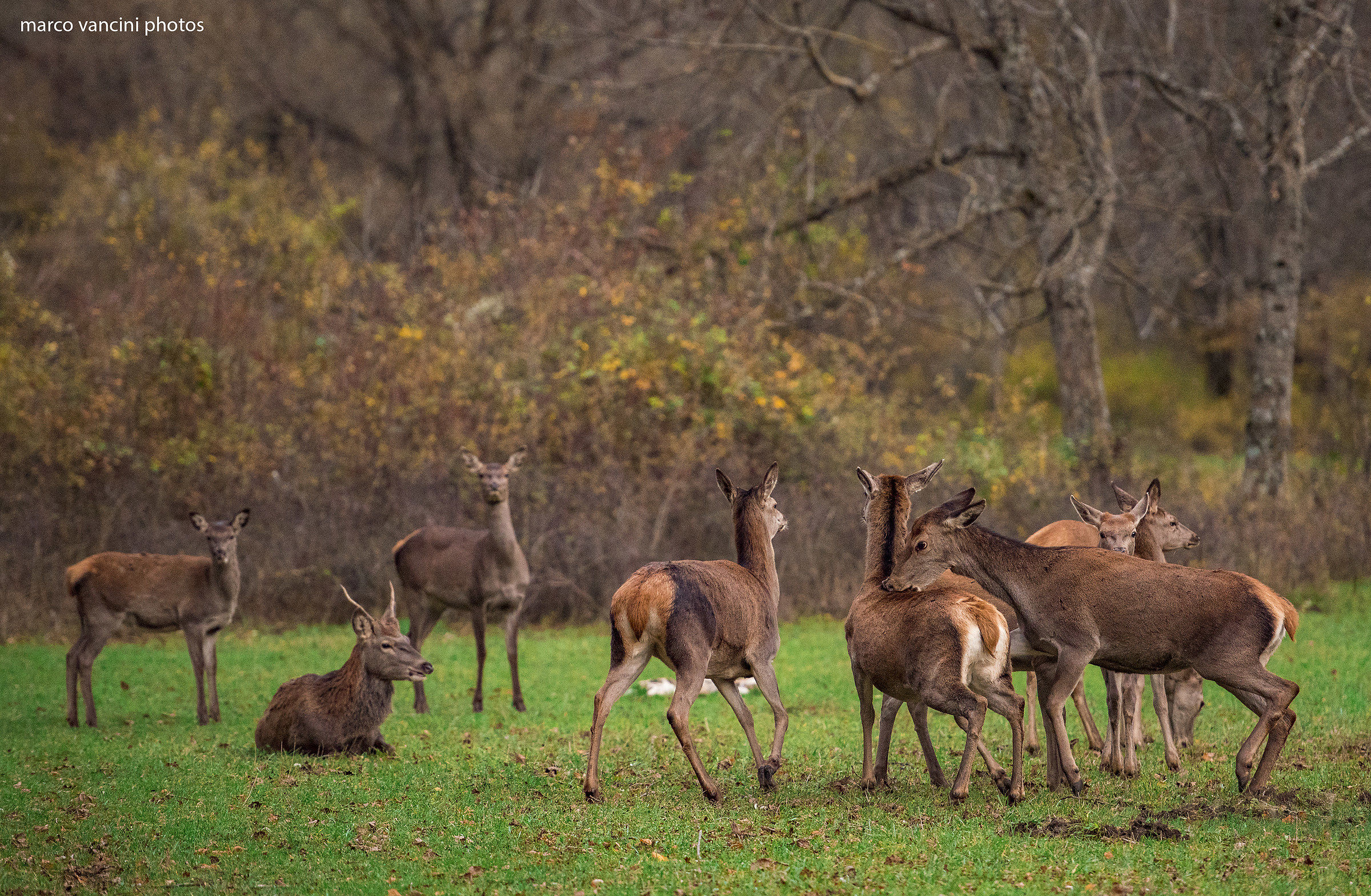 Riunione di Famiglia