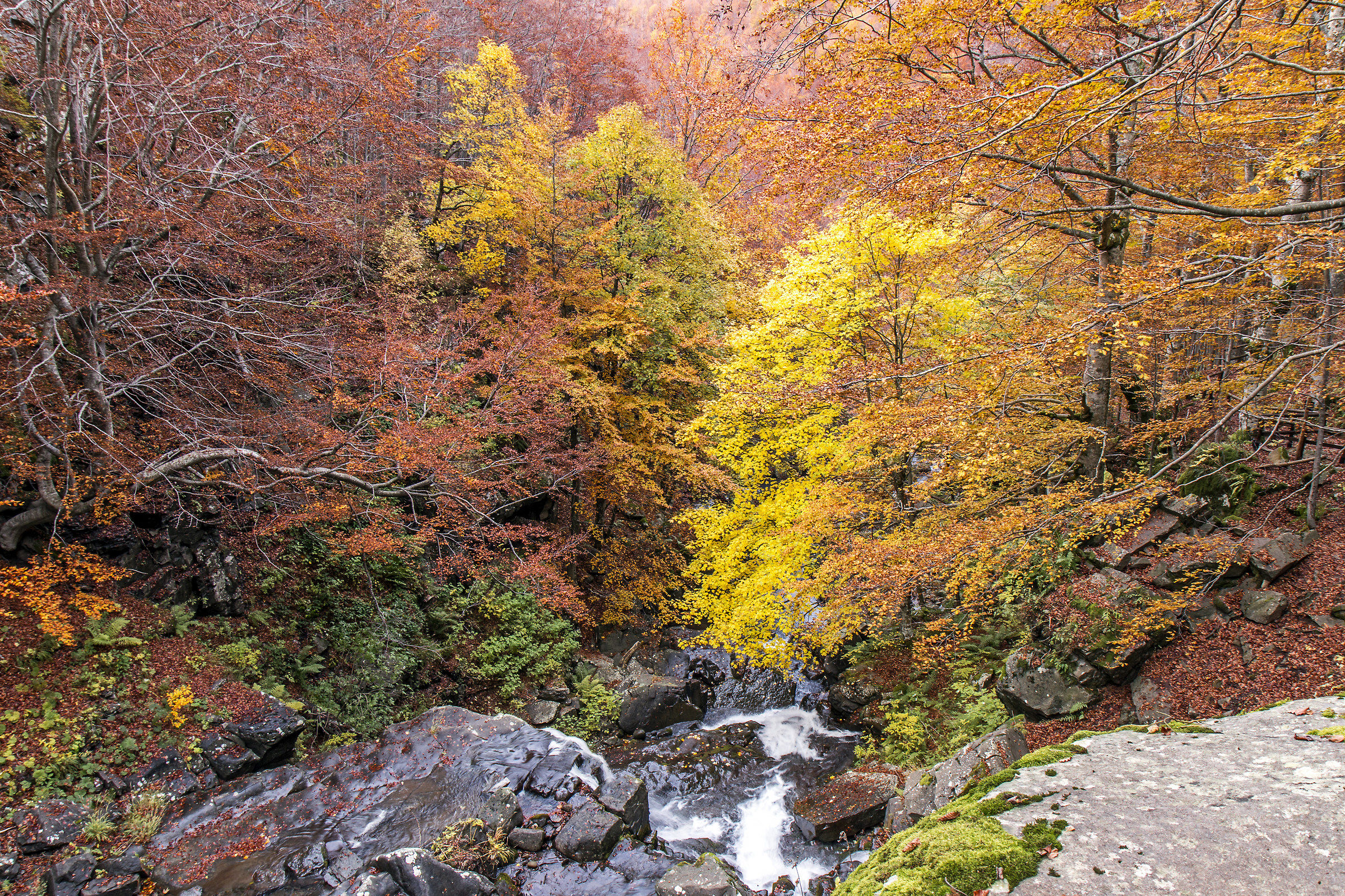 Cascate del Dardagna