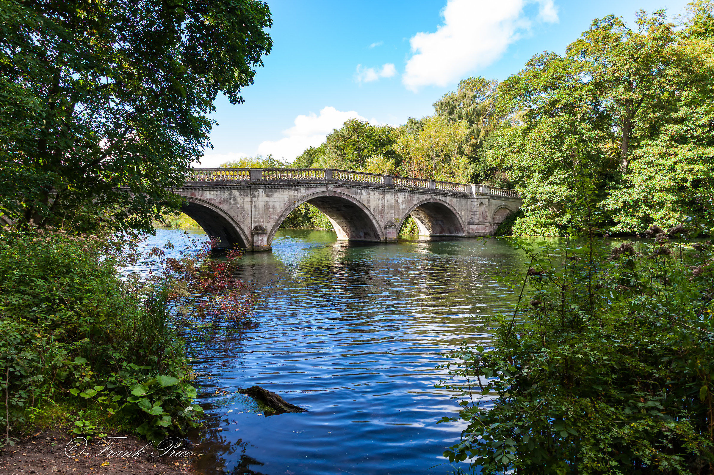 Clumber Park Bridge View 3