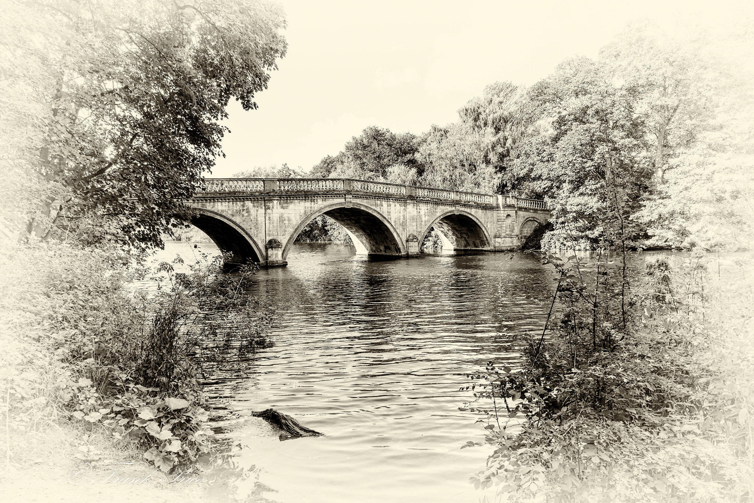 Clumber Park Bridge View 4