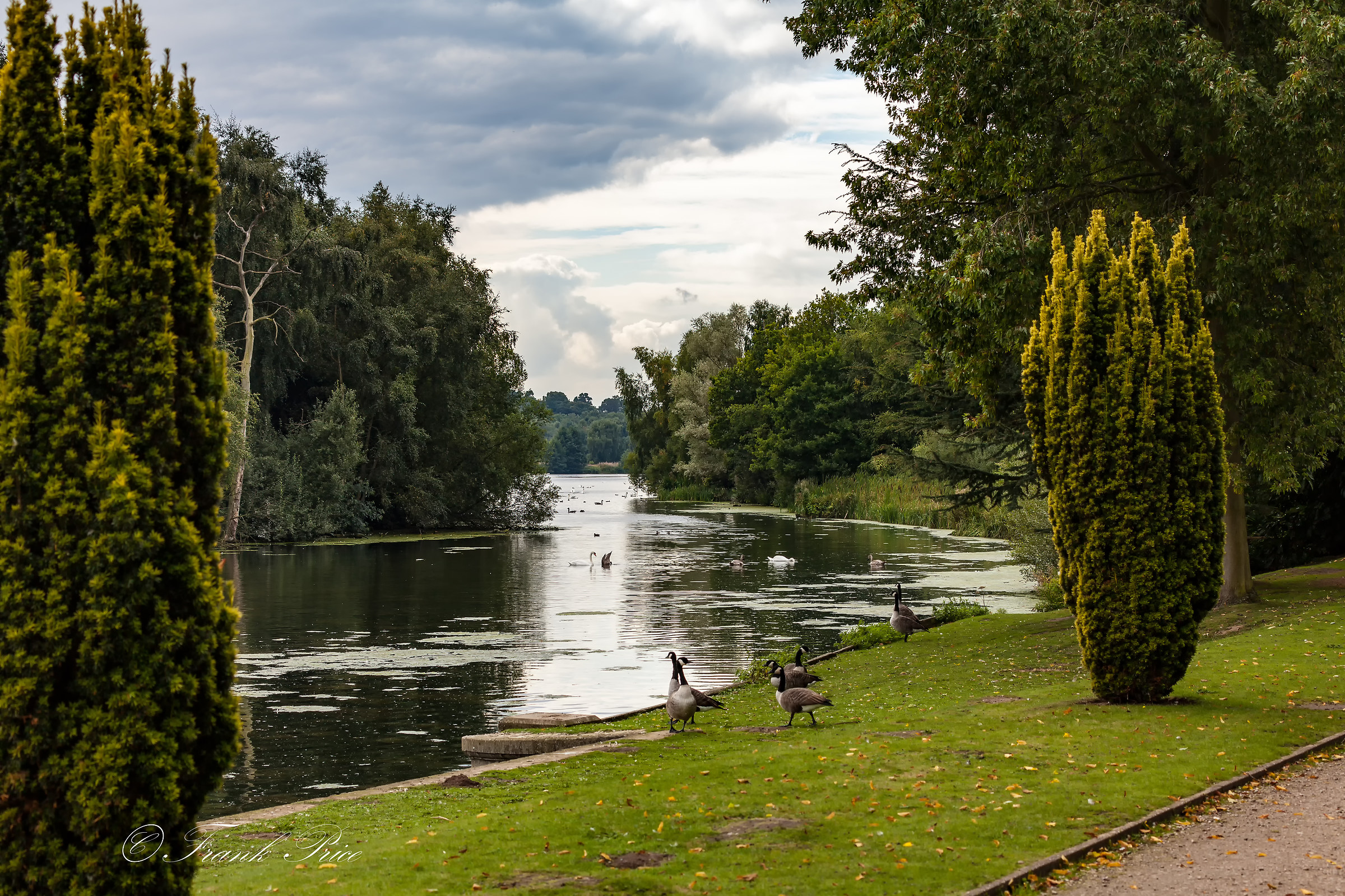 Clumber Park Lake View