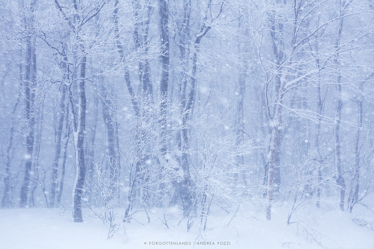 In the dead of winter