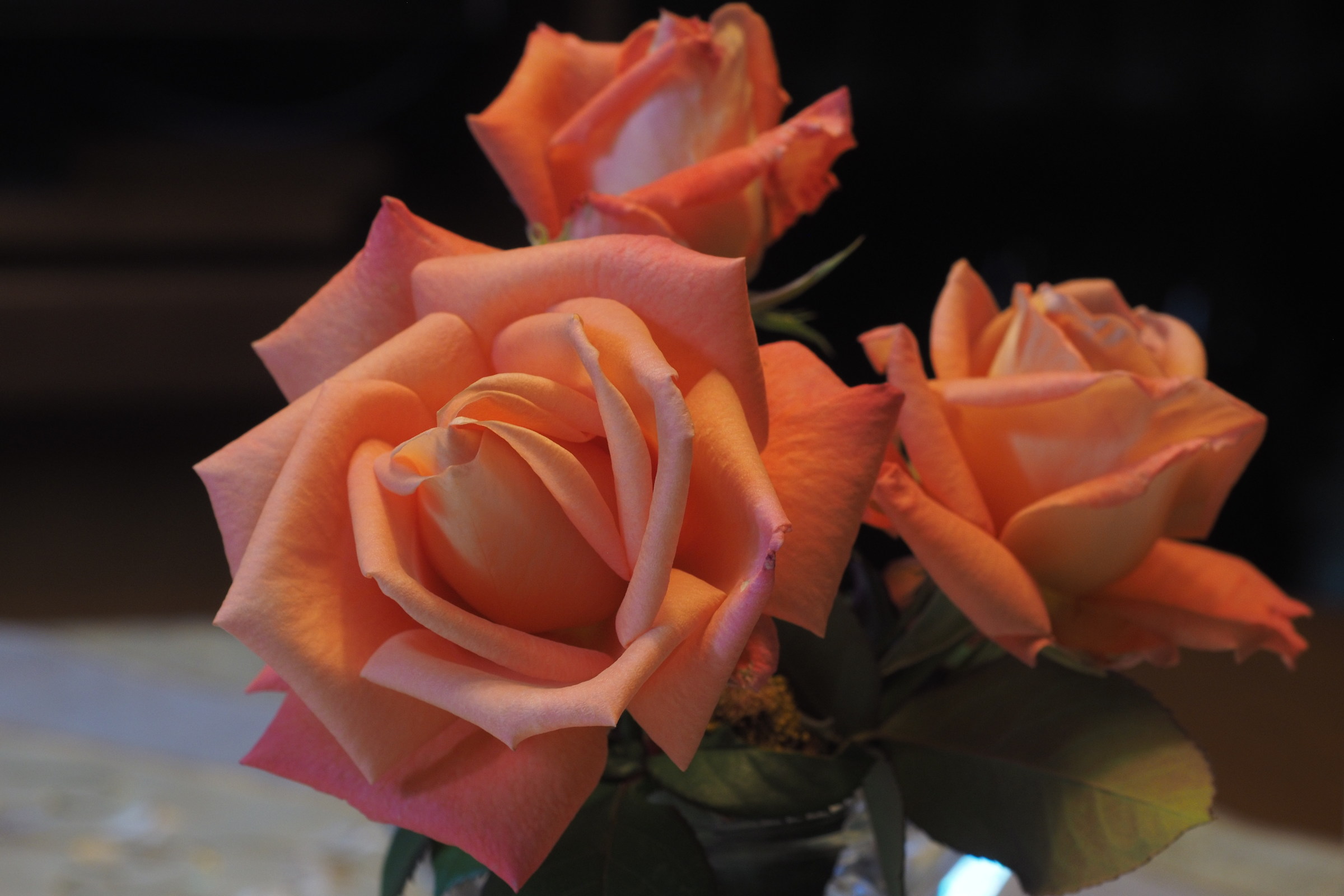 pink, em1 + 50 1.8 nikon af 5.6