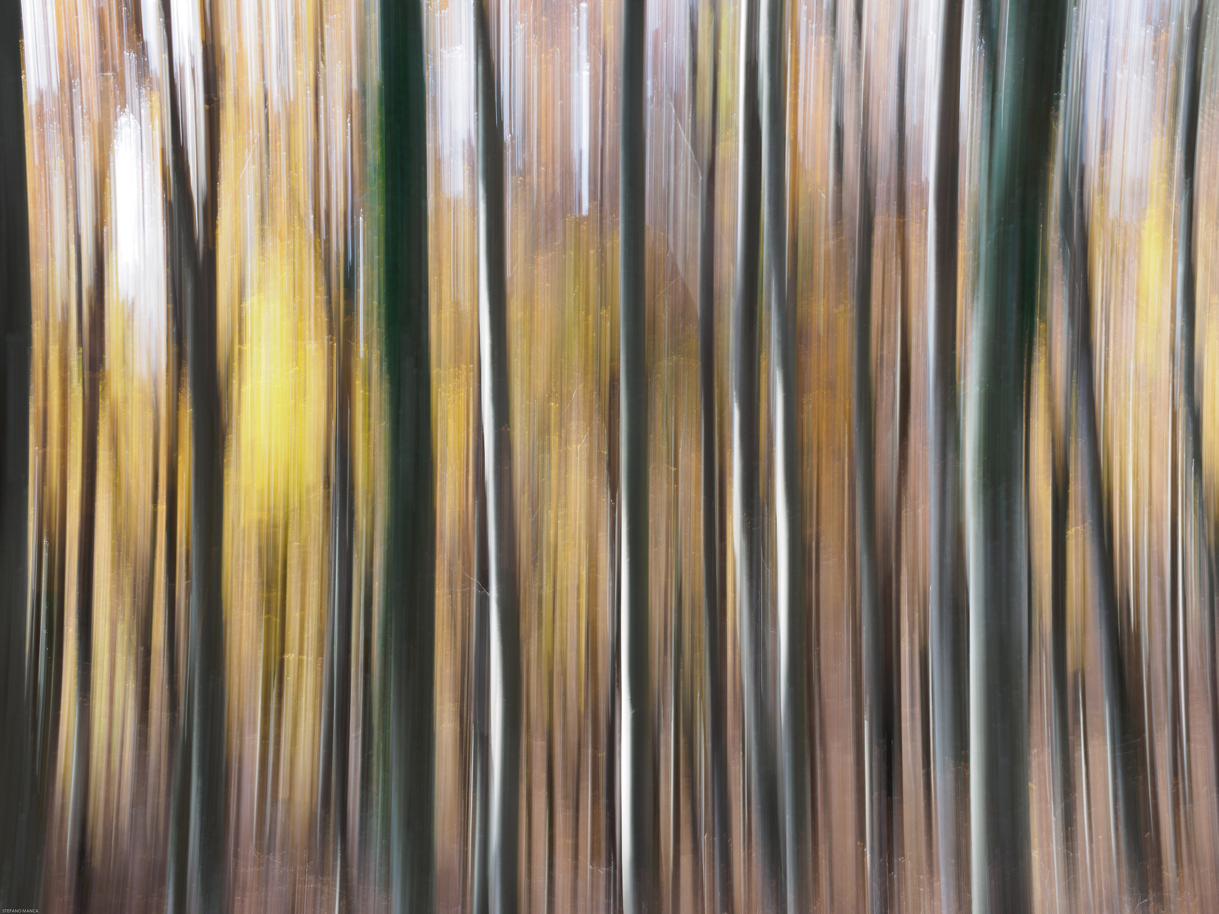 Autunno in Cansiglio - impressioni 4