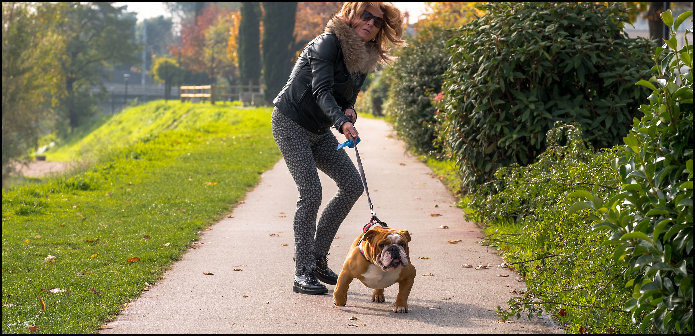 attacks the paparazzi ...