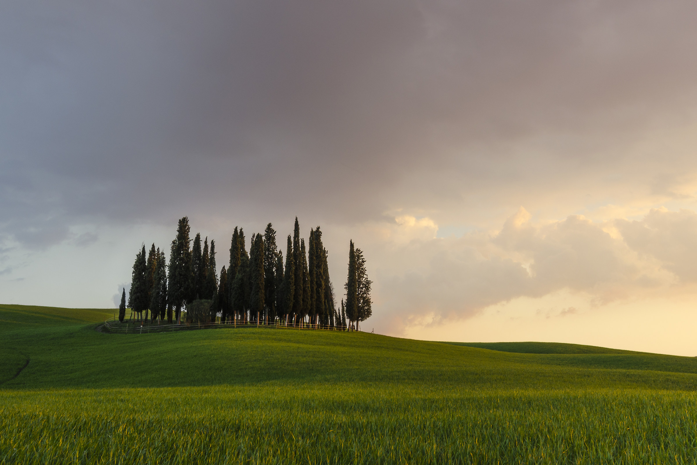 Val d'Orcia - San Quirico