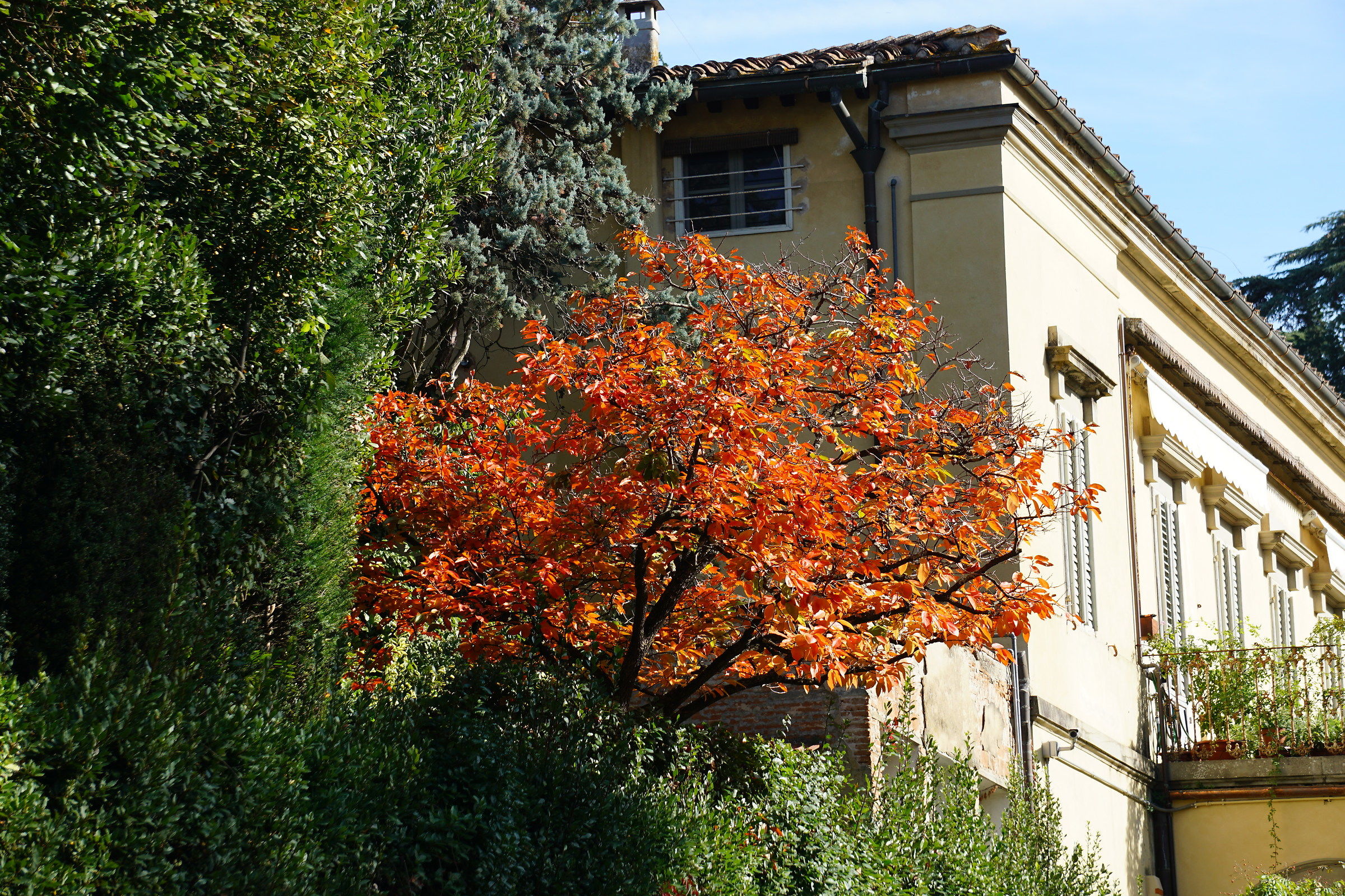 I colori dell'autunno