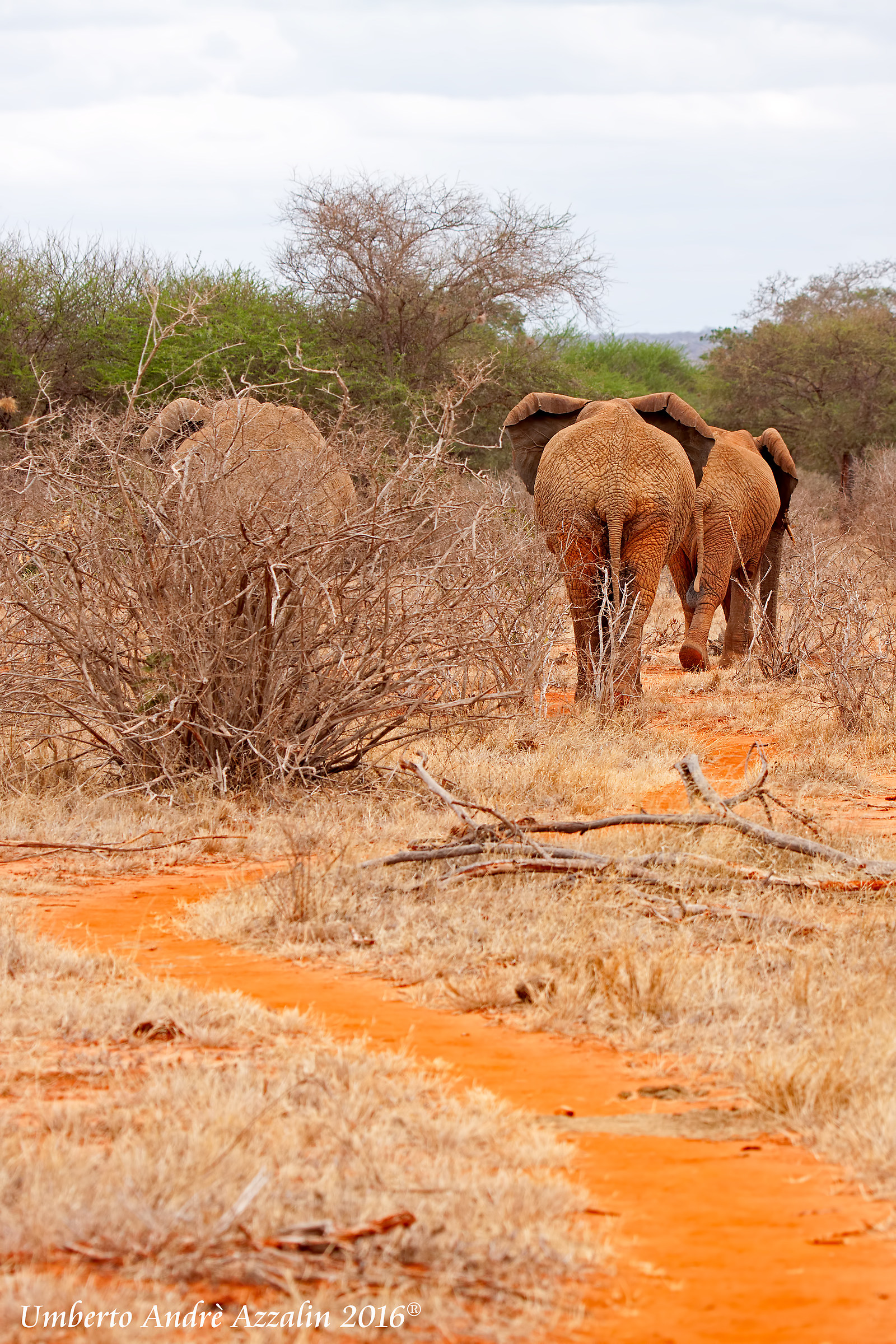 our path toward home