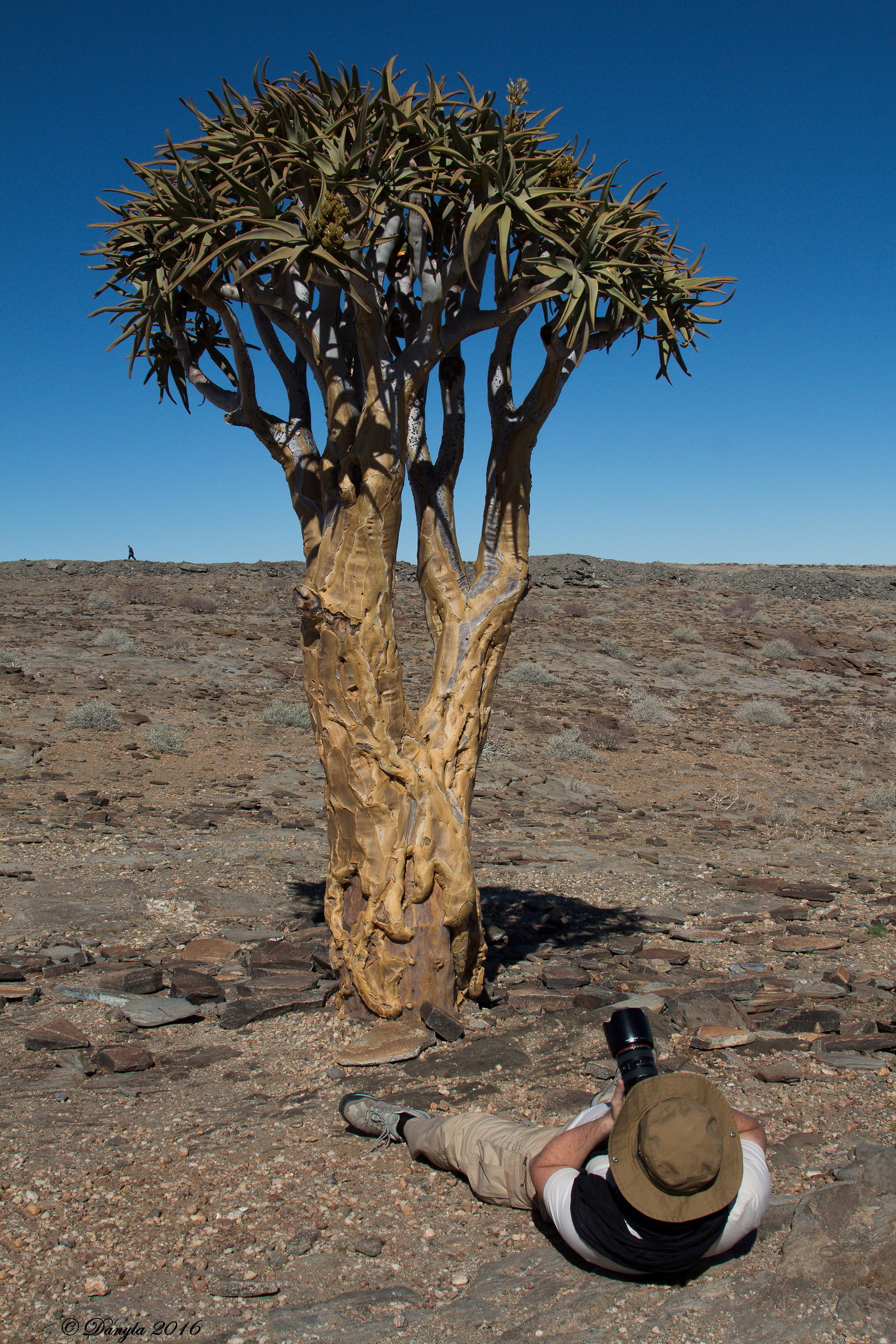 paesaggio con elementi umani  ;-)
