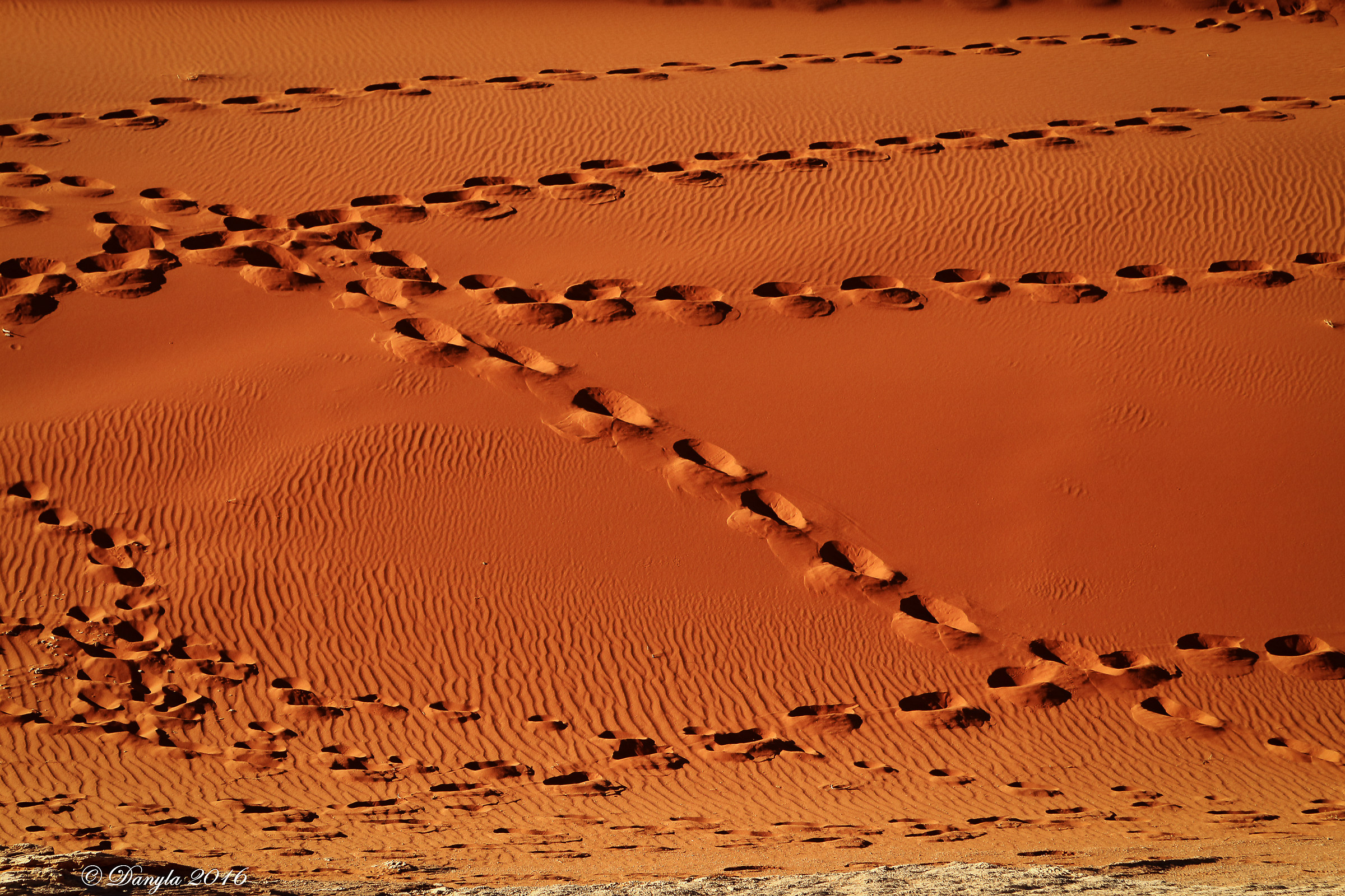 a walk in the desert