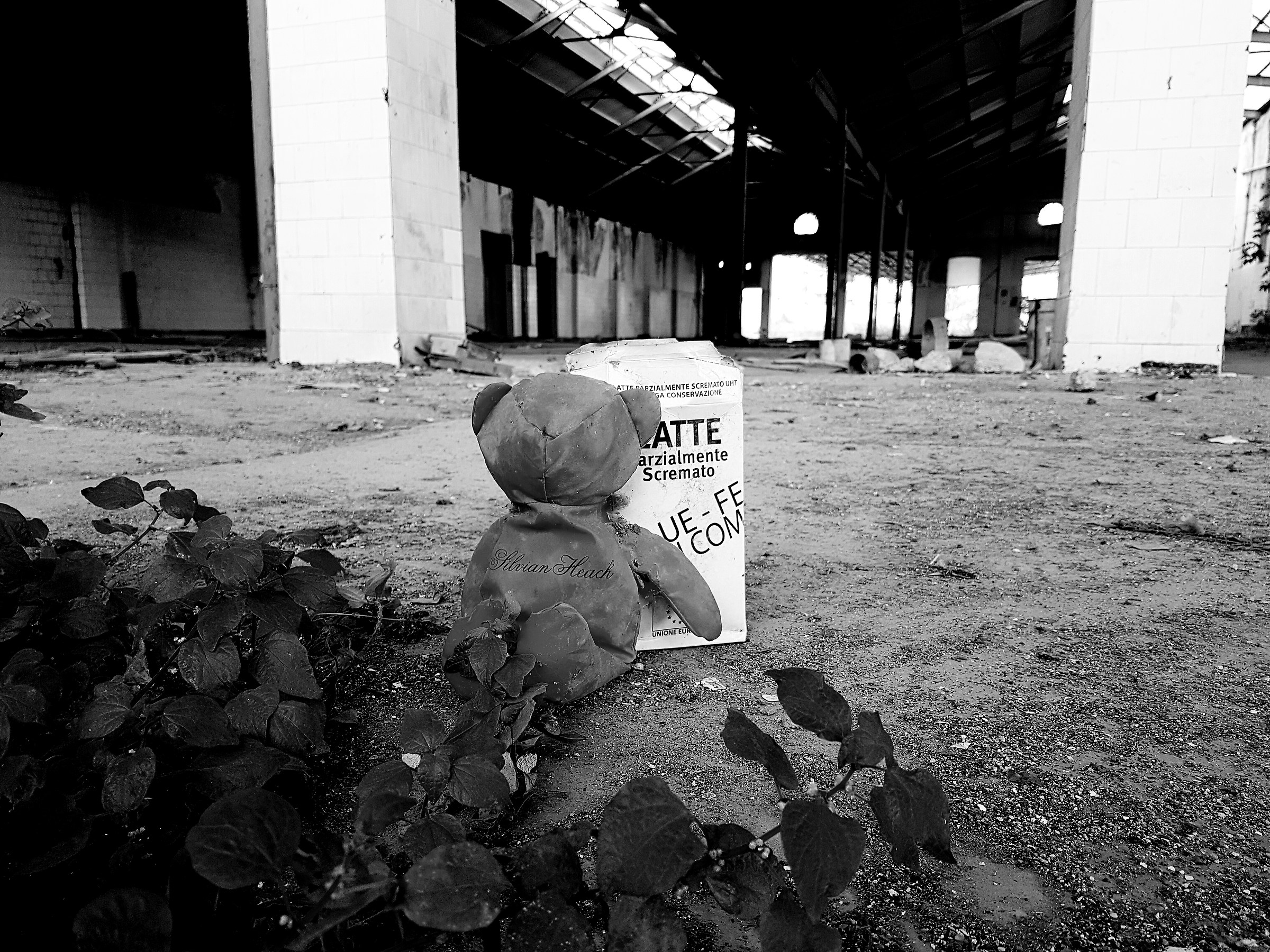 Torneranno a prendermi....prima o poi